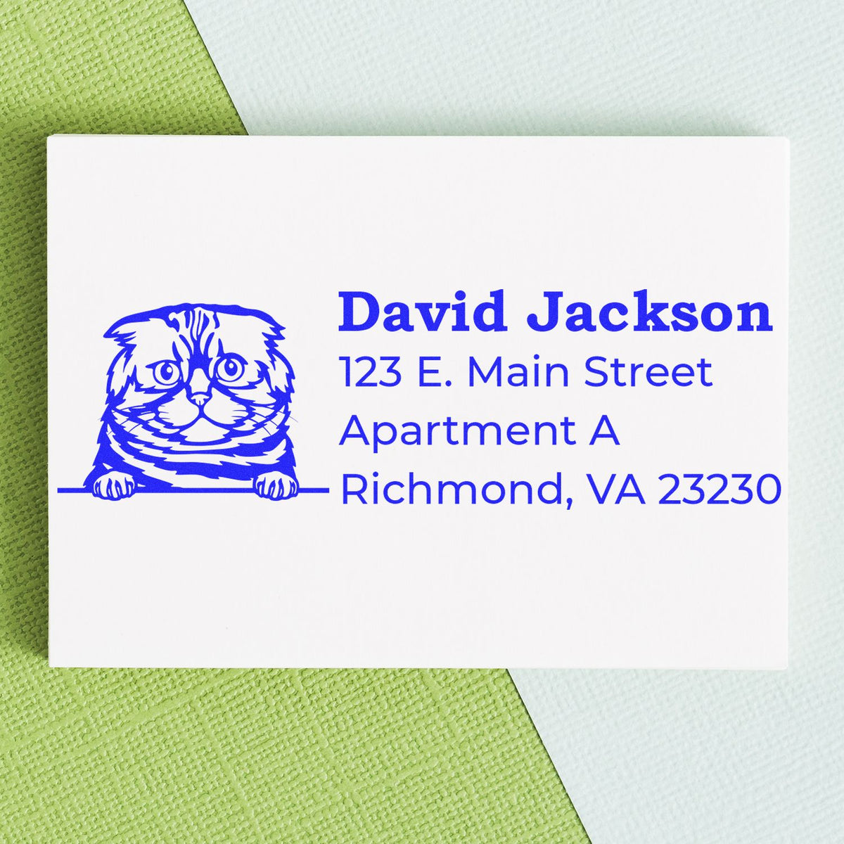 Custom cat return address rubber stamp for David Jackson, Apartment A, Richmond, VA 23230.