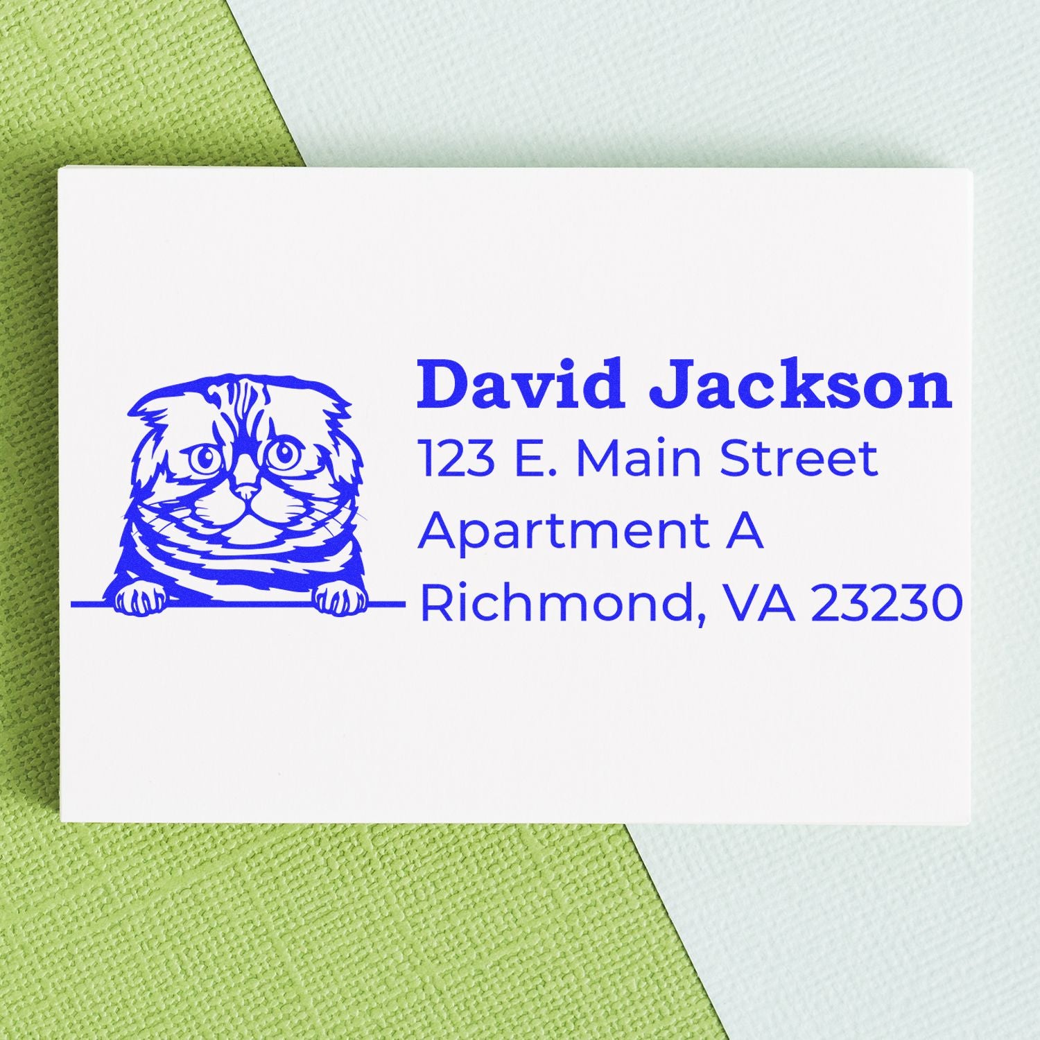 Custom cat return address rubber stamp for David Jackson, 123 E. Main Street, Apartment A, Richmond, VA 23230