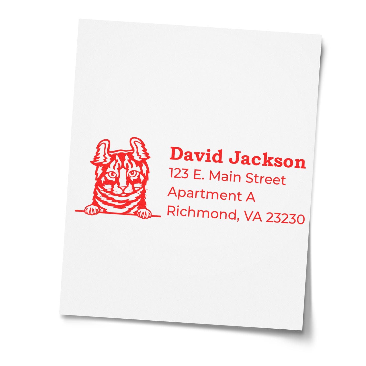 Custom return address rubber stamp with cat illustration for David Jackson, 123 E. Main Street, Richmond, VA 23230