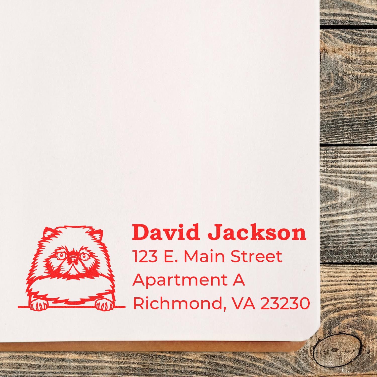 Custom return address rubber stamp on envelope with pet illustration, David Jackson, Richmond, VA 23230.