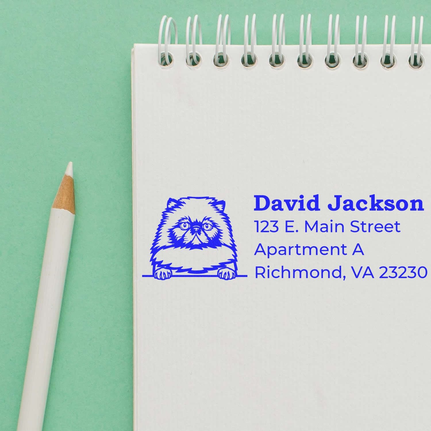 Custom address rubber stamp with dog illustration, showing David Jacksons Richmond, VA return address.