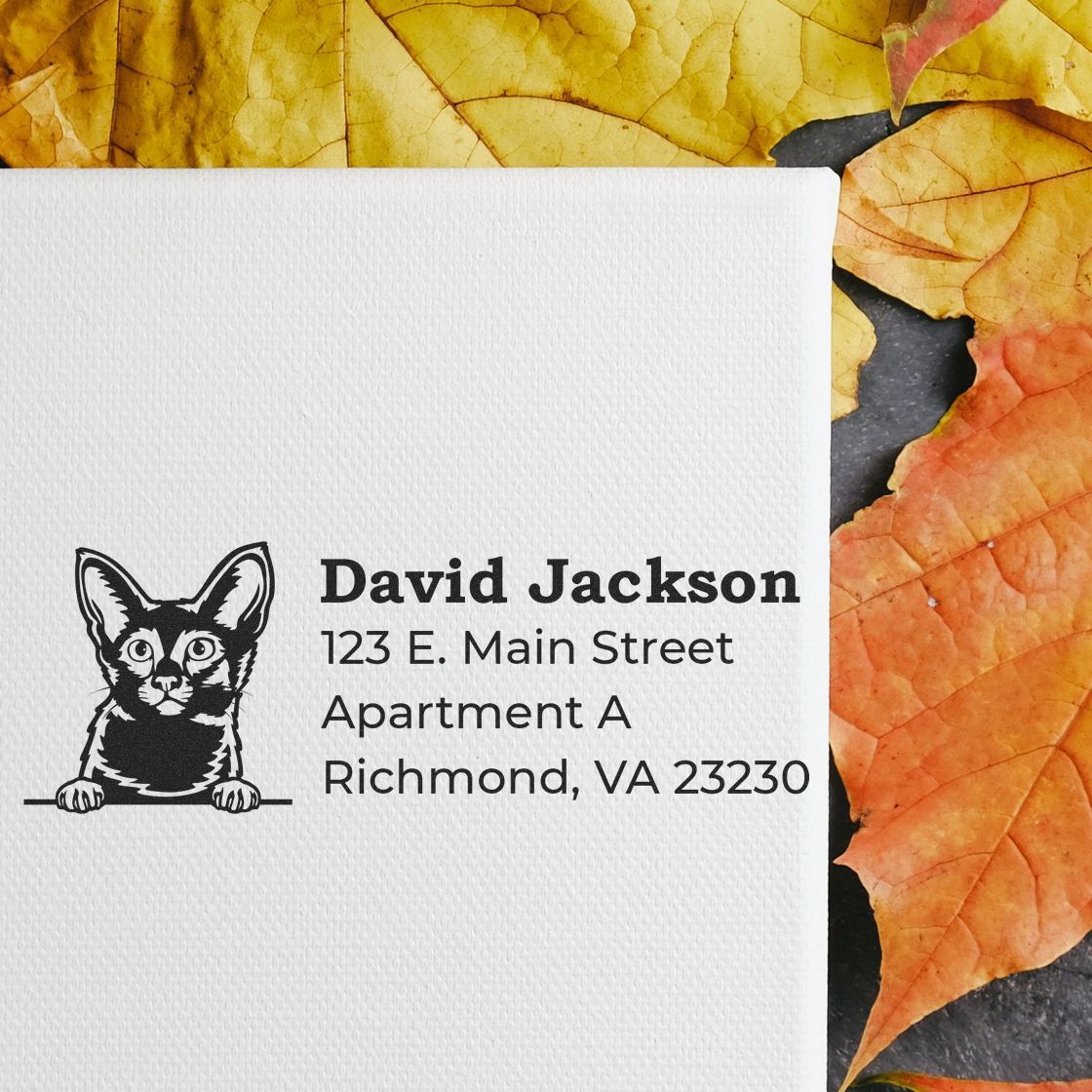 Personalized cat address rubber stamp for David Jackson, Richmond VA, shown on a white envelope.