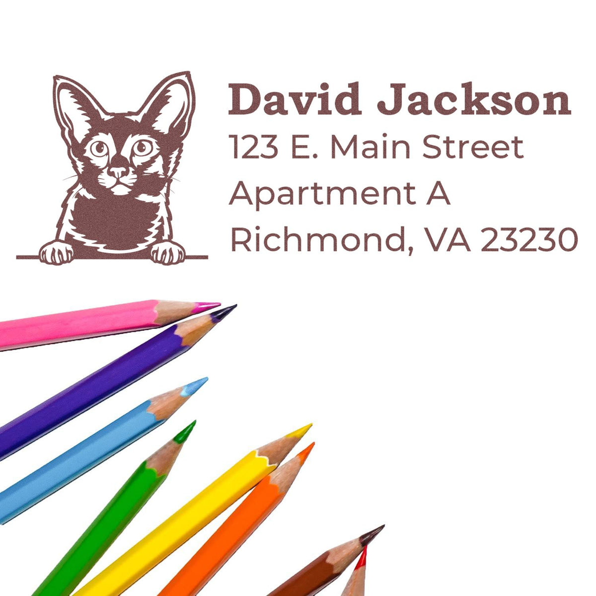 Personalized cat return address rubber stamp for David Jackson, 123 E. Main Street Apt A, Richmond, VA 23230.