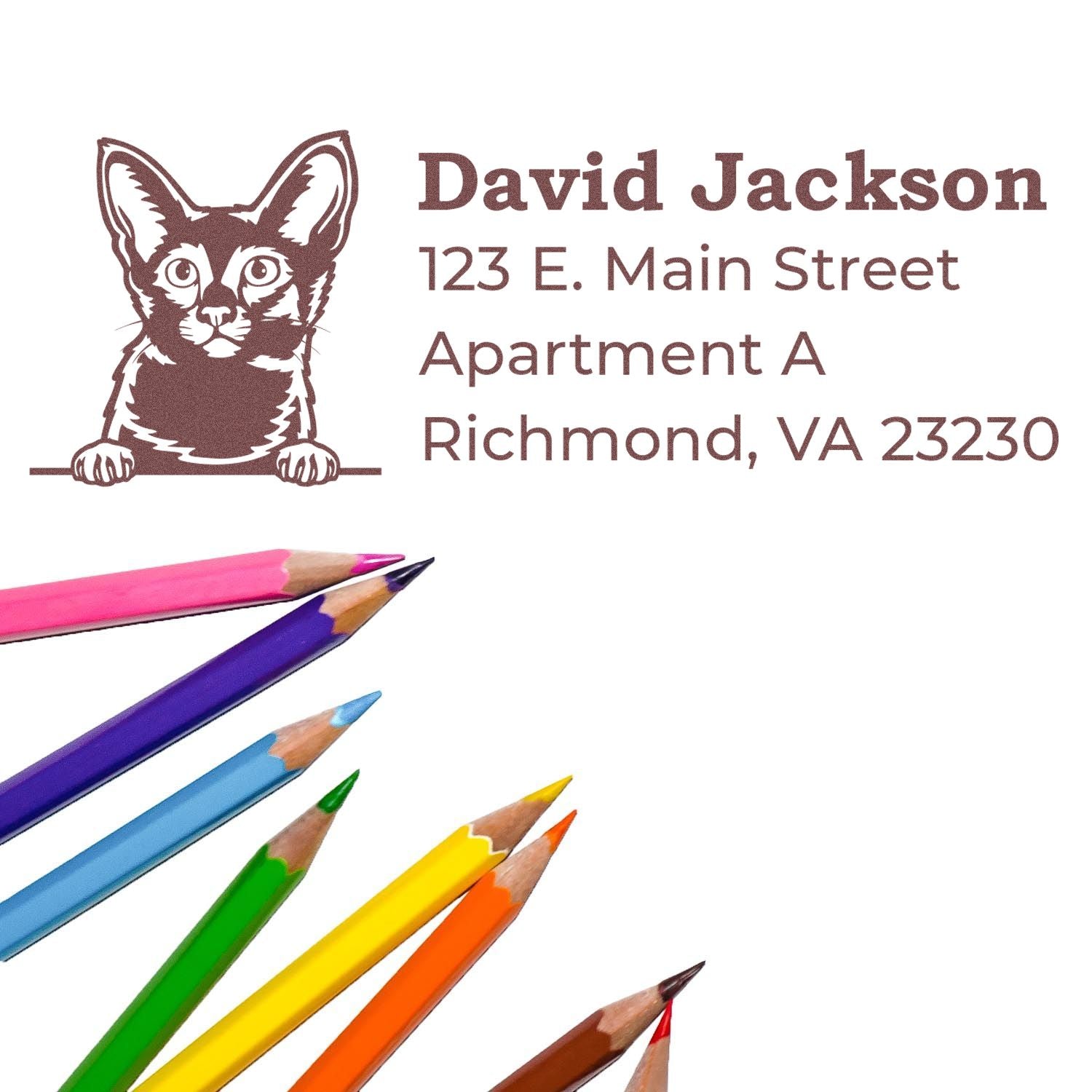 Custom cat return address rubber stamp for David Jackson, 123 E. Main Street, Apartment A, Richmond, VA 23230.