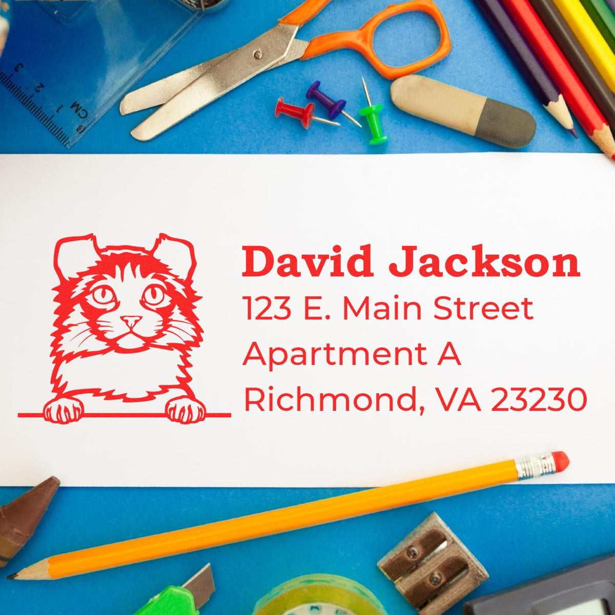 Custom cat address rubber stamp with name and Richmond, VA mailing address for personalized envelope marking.