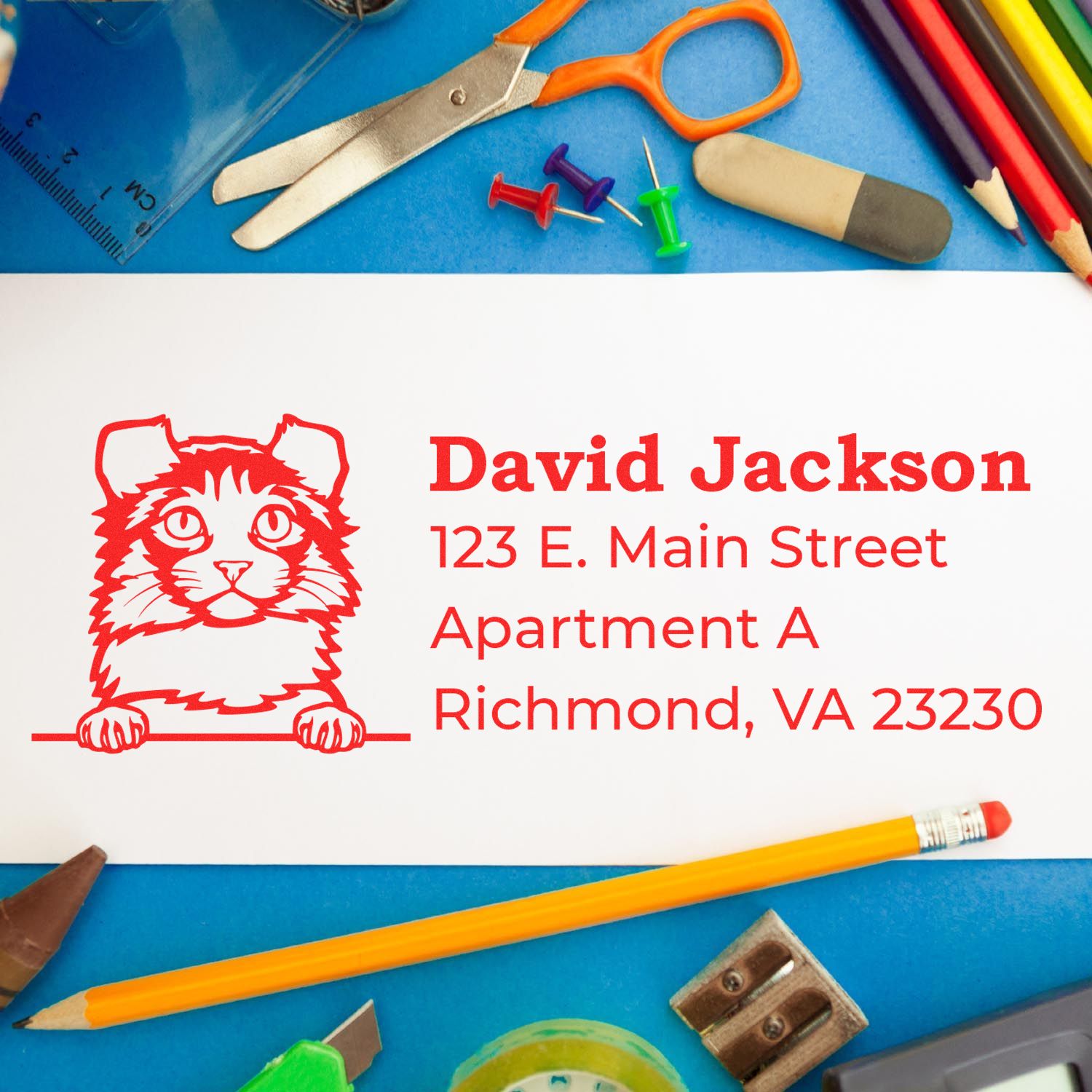 Custom rubber address stamp with cat design, perfect for labeling mail and stationery with David Jacksons Richmond, VA address.