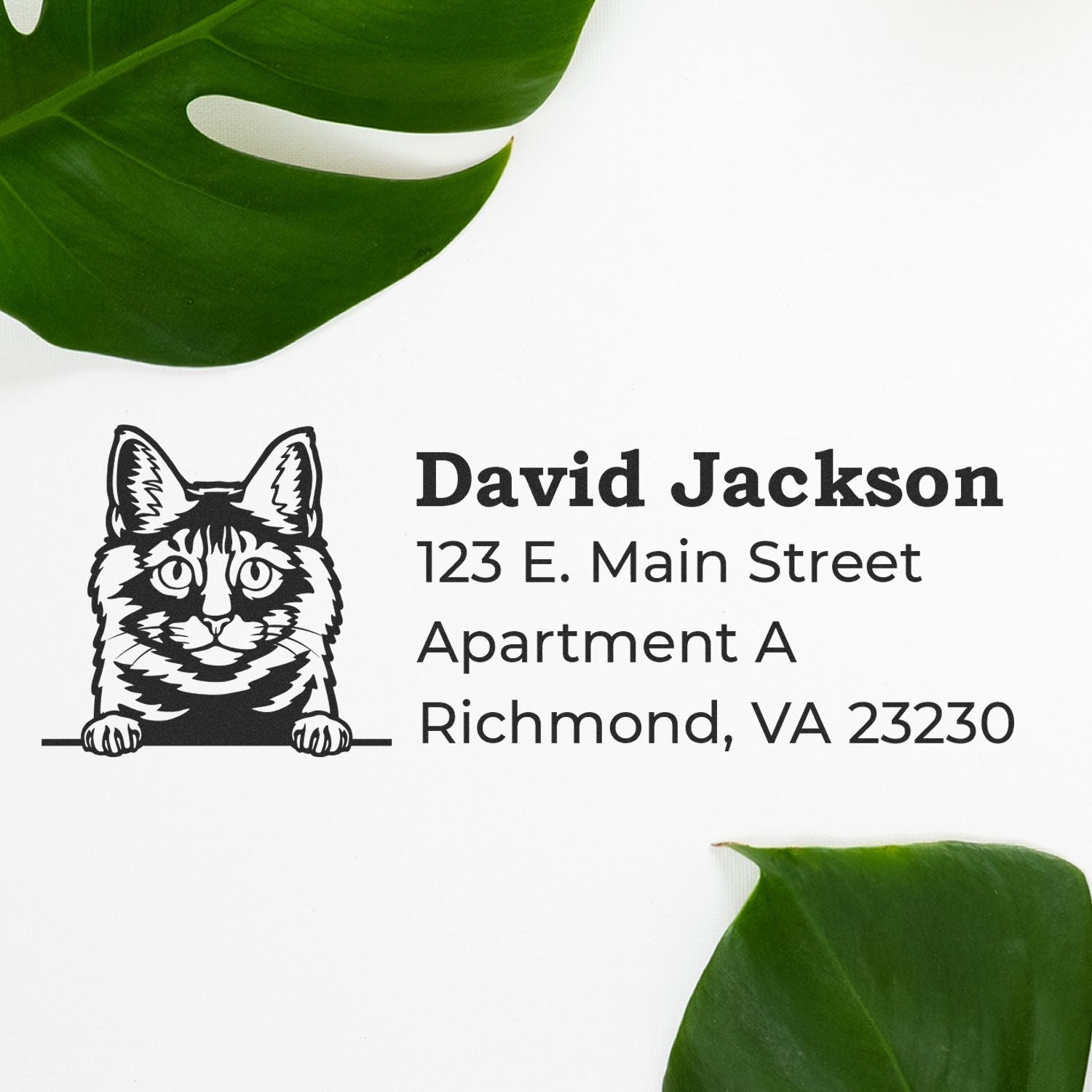 Custom address rubber stamp with cat illustration for David Jackson, Richmond, VA 23230.