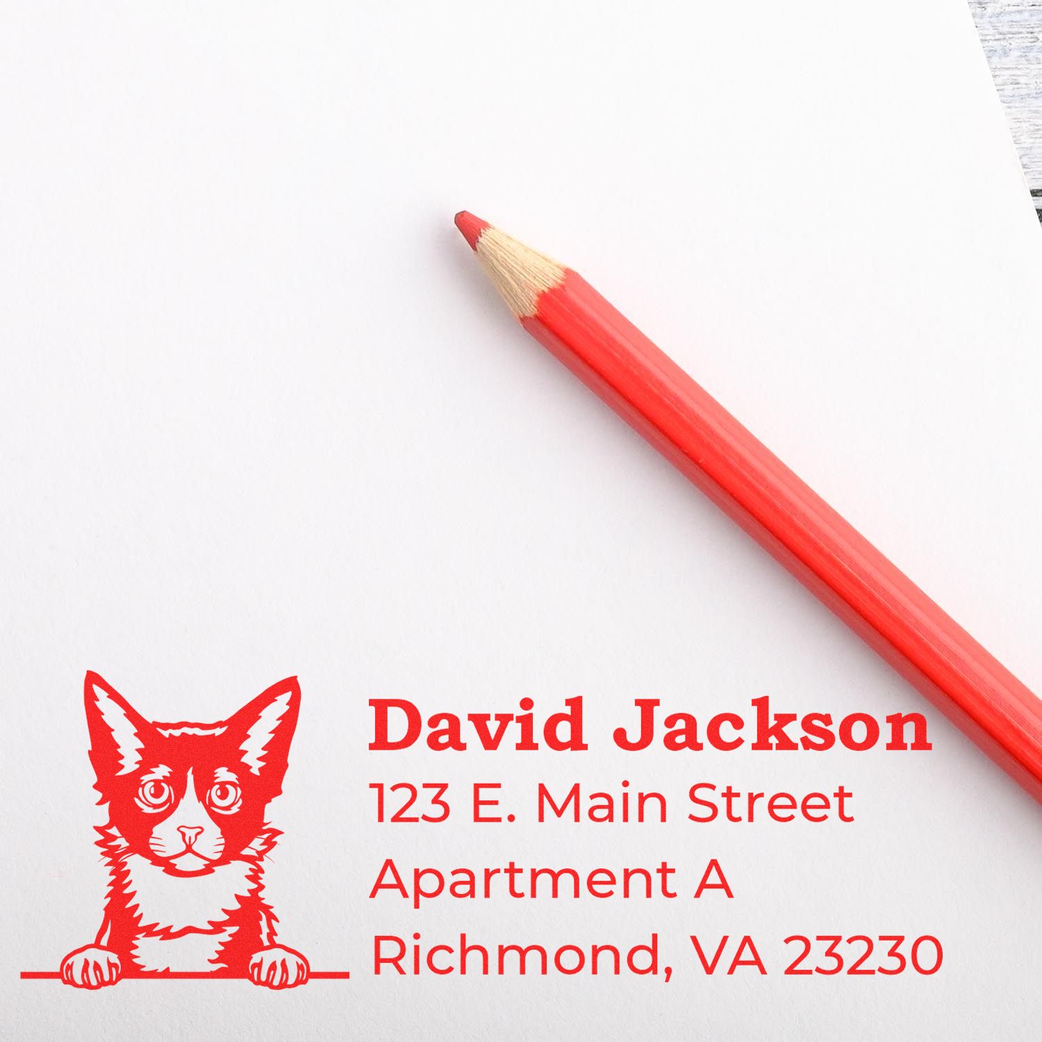 Personalized cat return address rubber stamp with name and Richmond, VA address, stamped in red beside a pencil.