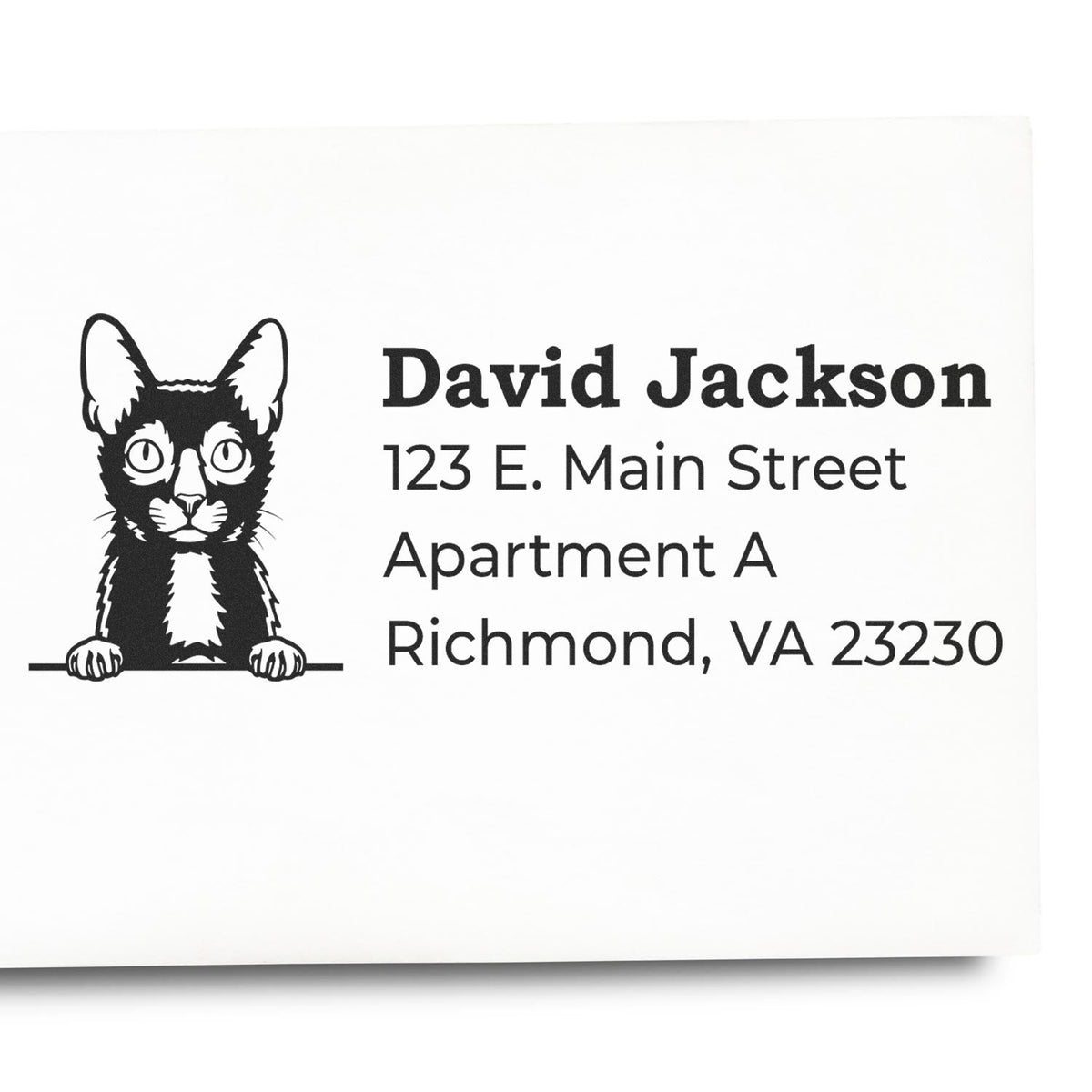 Custom cat address rubber stamp for David Jackson, 123 E. Main Street, Apartment A, Richmond, VA 23230.