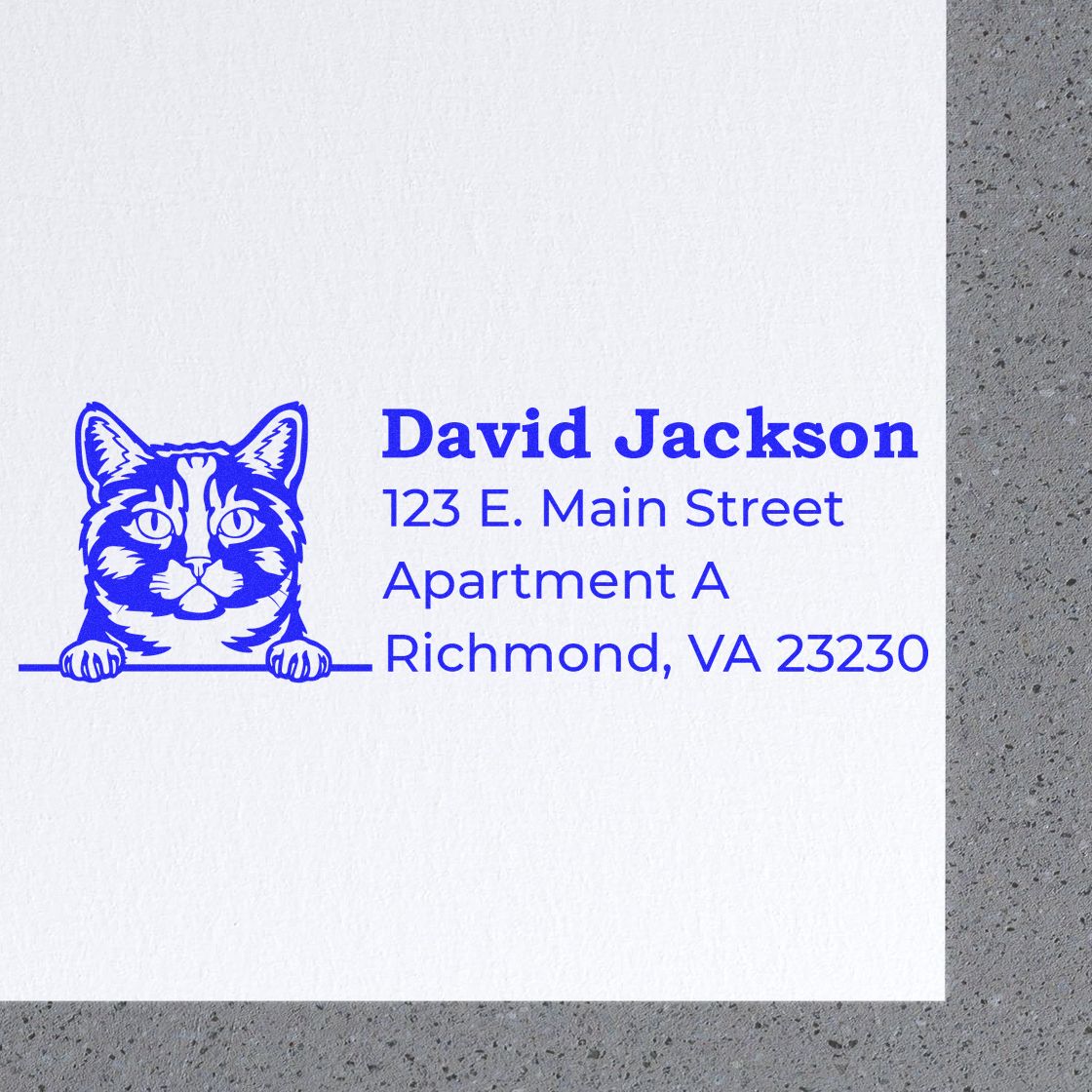 Custom cat return address rubber stamp with name, apartment address, and Richmond, VA mailing details for envelopes.