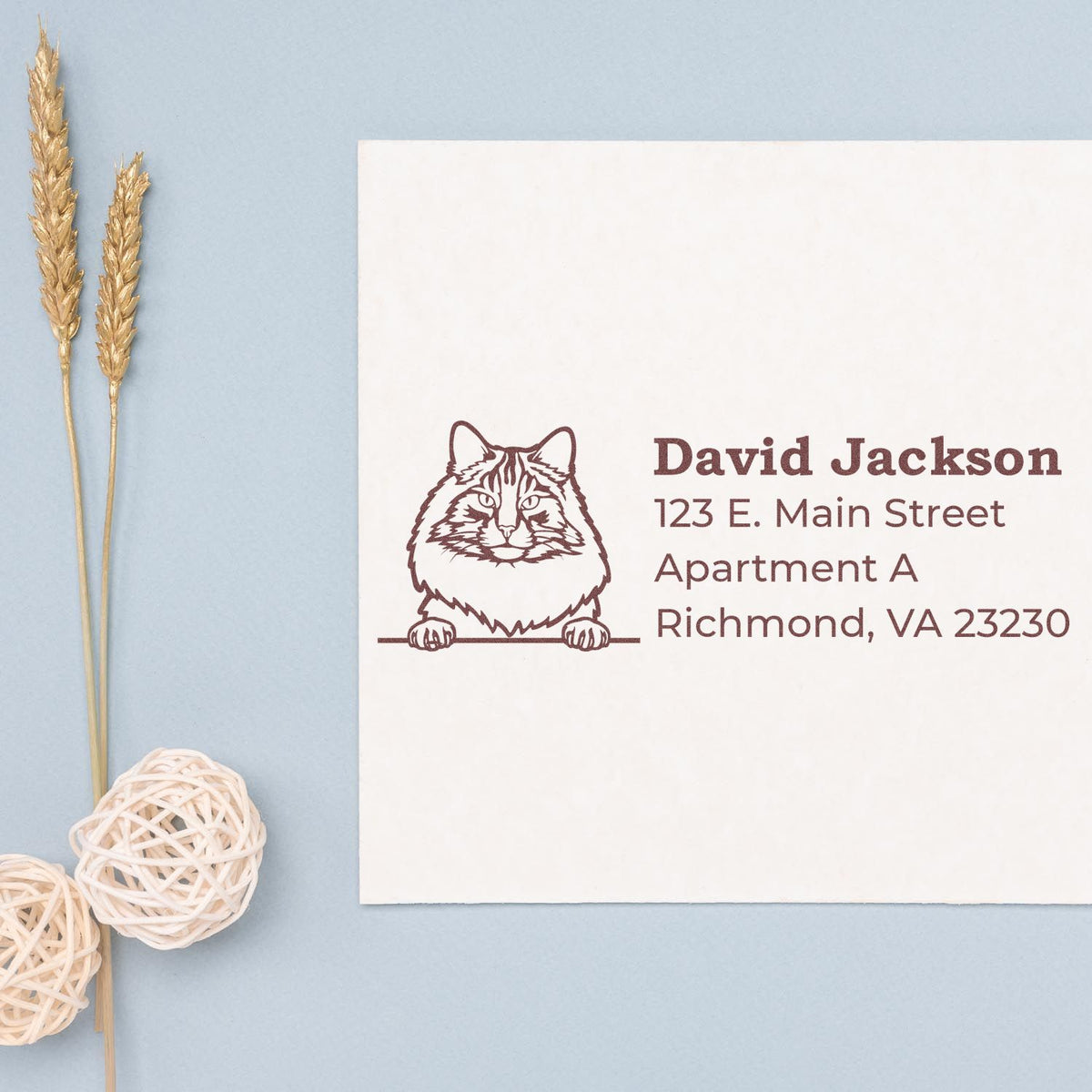 Custom cat return address rubber stamp on envelope with name and Richmond, VA address for personalized stationery.