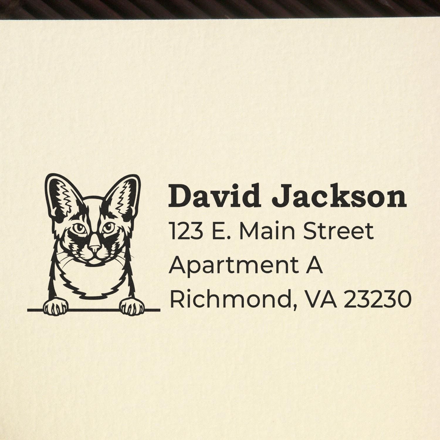Custom cat return address rubber stamp for David Jackson, 123 E. Main Street, Apartment A, Richmond, VA 23230.