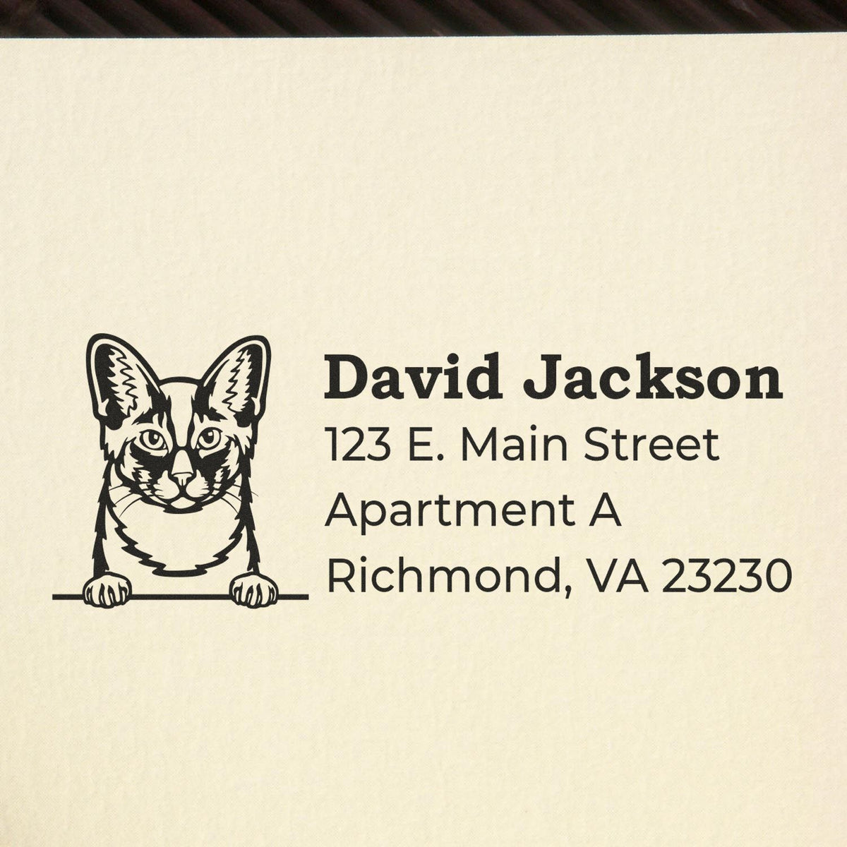Custom cat return address rubber stamp for David Jackson, 123 E. Main Street Apt A, Richmond, VA 23230.