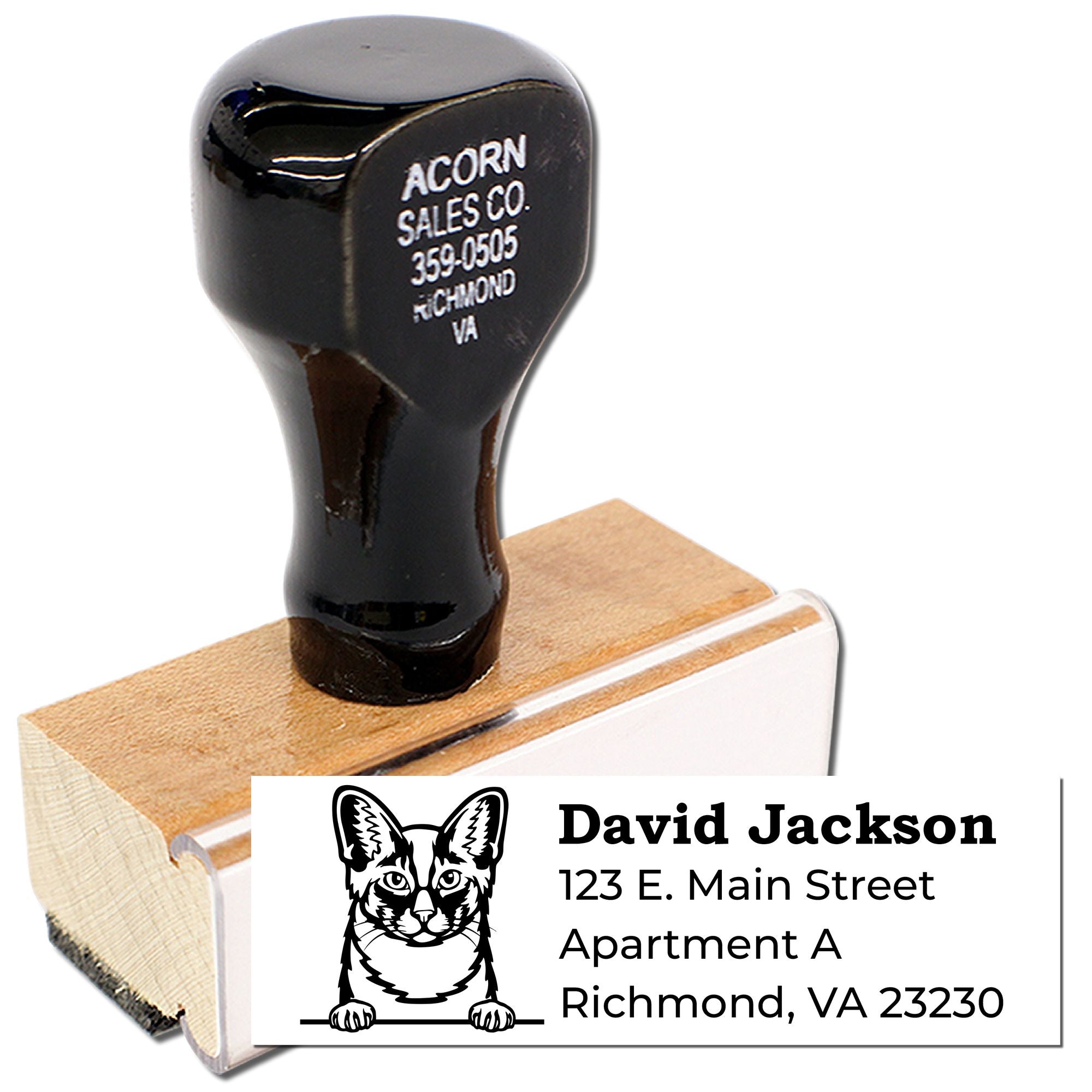 Custom rubber address stamp with cat logo, David Jackson name, and Richmond VA return address for personalized mailings