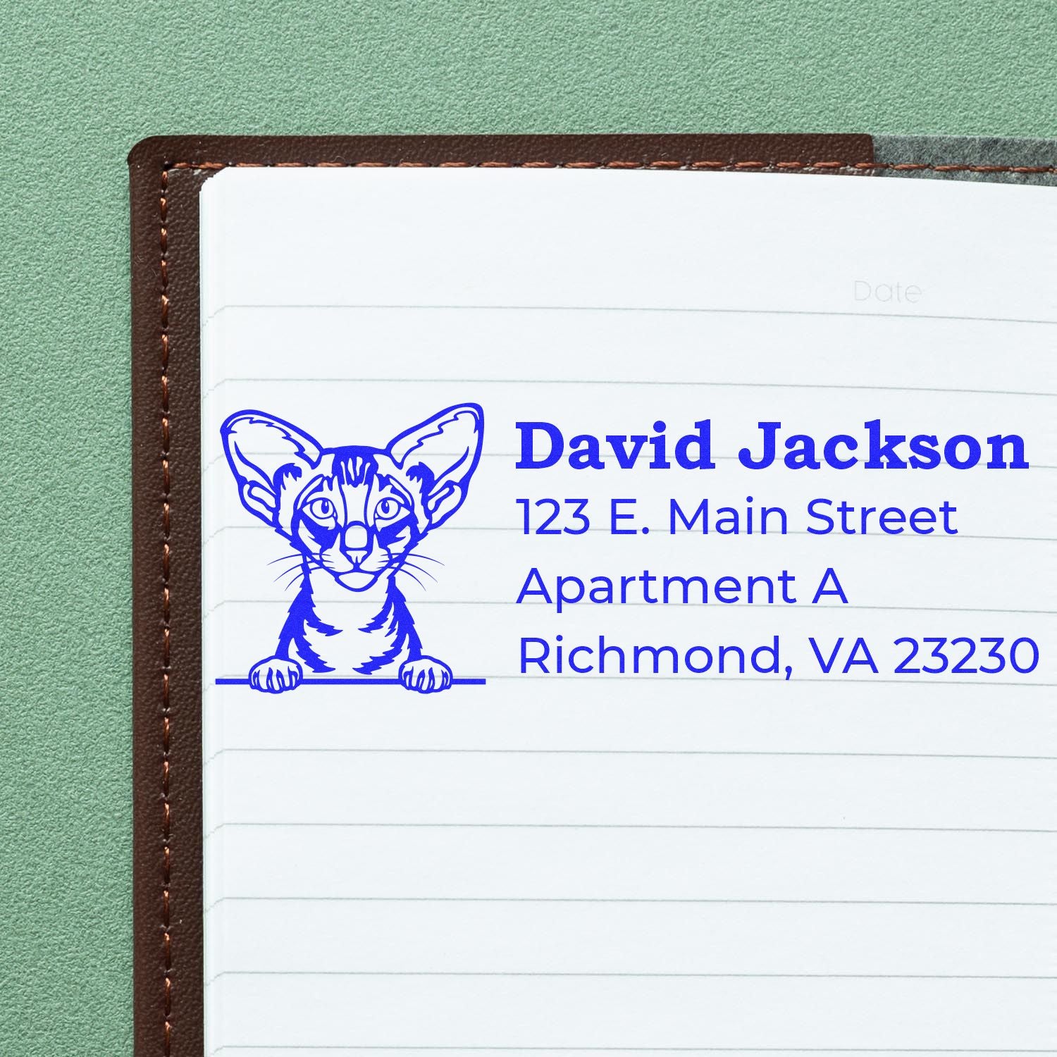 Custom pet-themed address rubber stamp with cat illustration and return address for David Jackson in Richmond, VA.