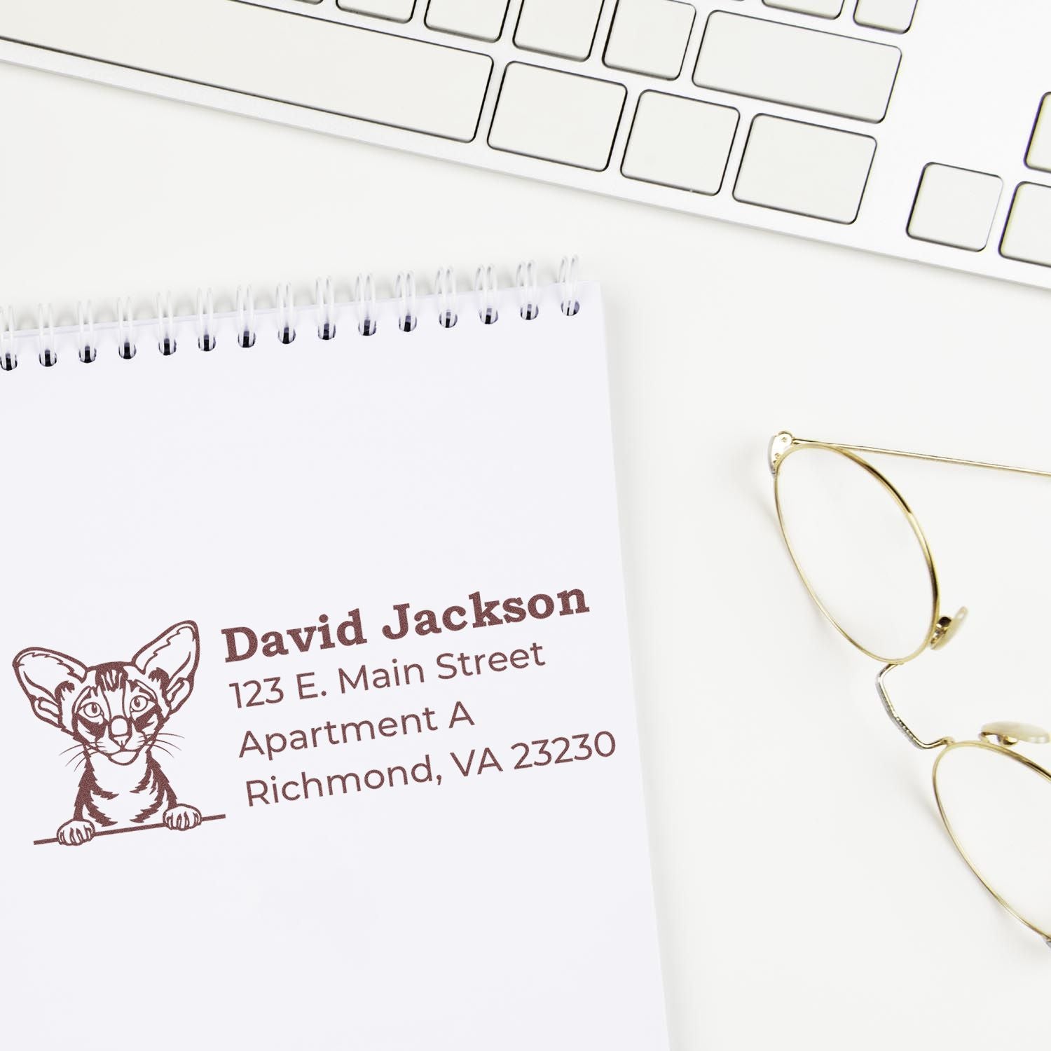 Personalized rubber address stamp with cat logo for return mail, business branding, and envelope labeling.