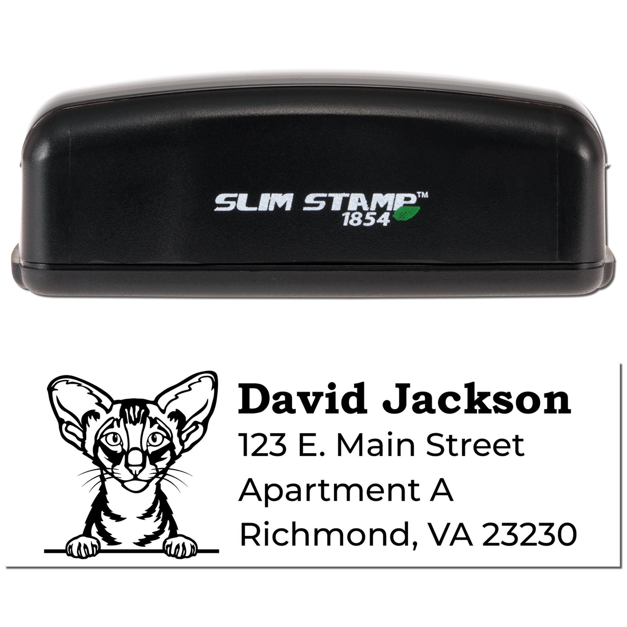 Custom Slim Stamp 1854 address rubber stamp with cat logo for David Jackson, Richmond VA mailing and apartment use.