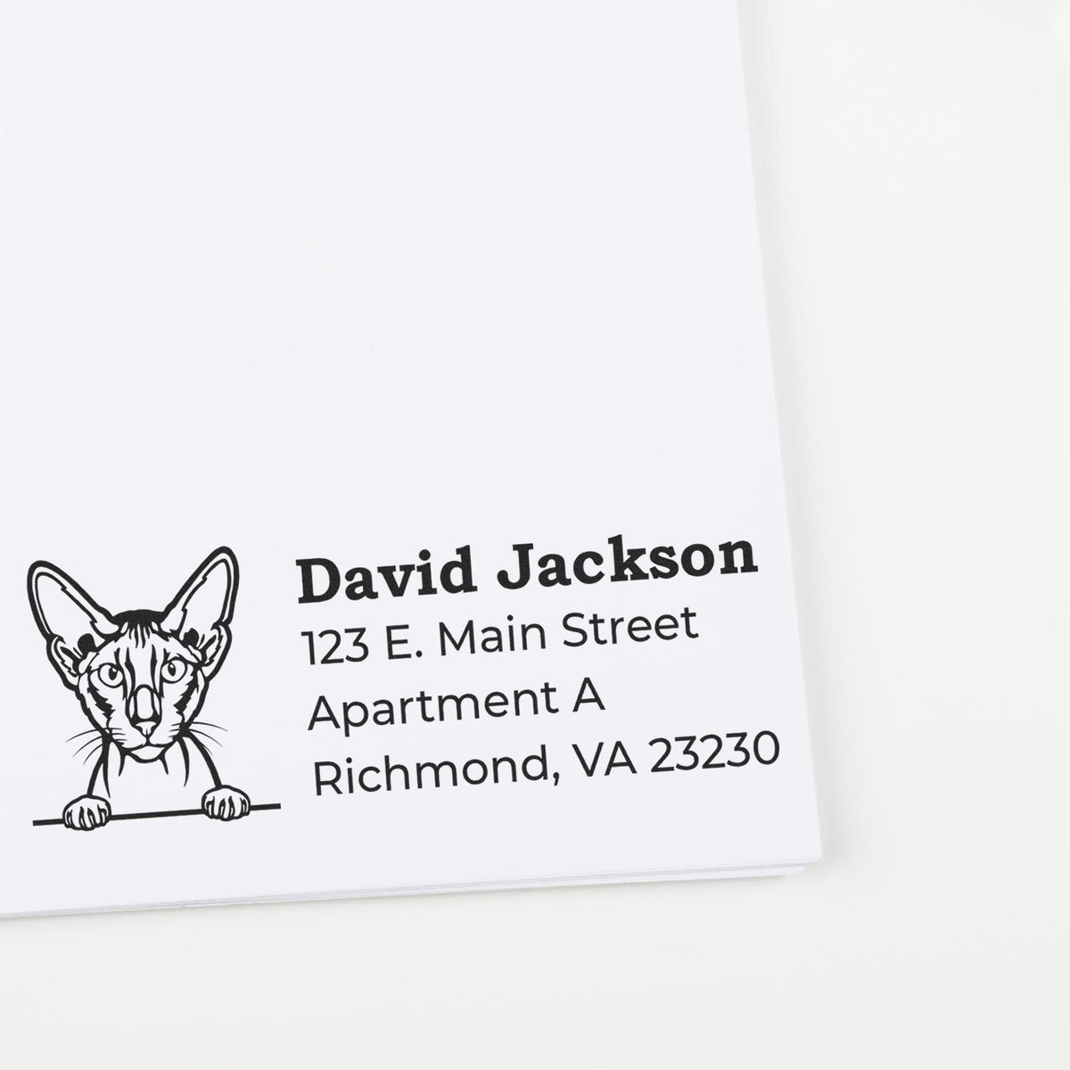 Personalized cat return address stamp for mailing, featuring David Jackson, 123 E. Main Street, Richmond, VA 23230