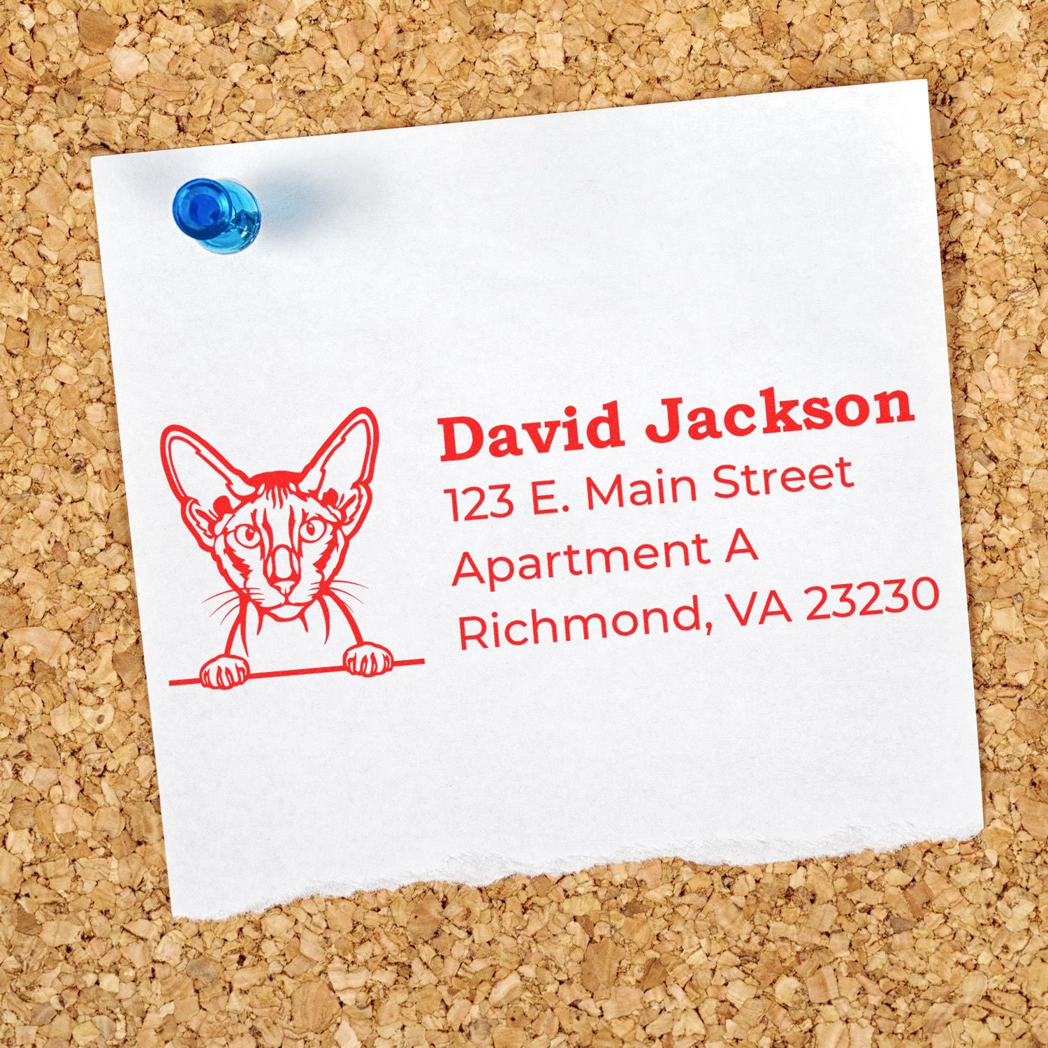 Custom rubber return address stamp with cat logo and mailing address for personalized envelopes