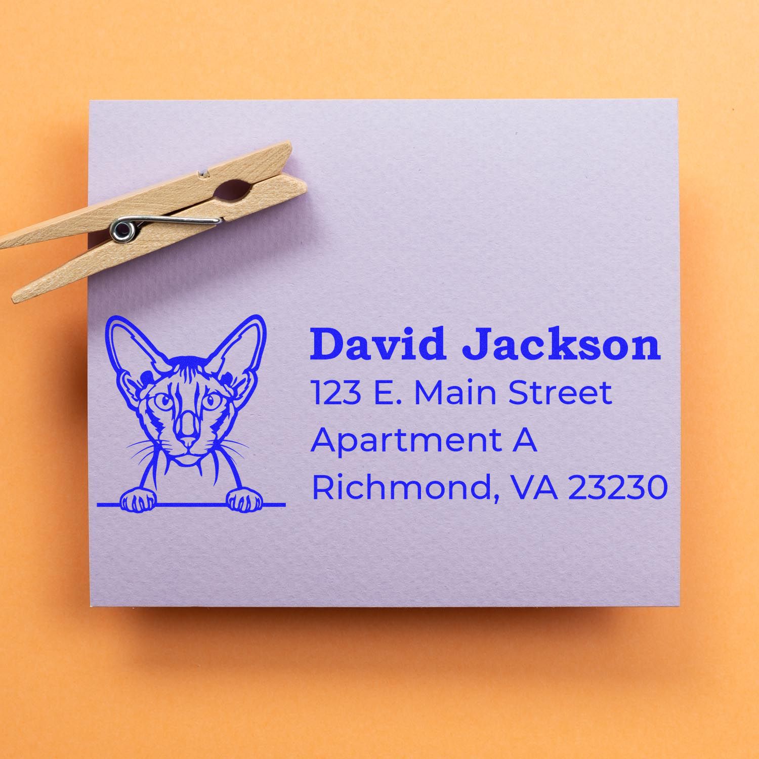 Custom rubber address stamp with cat illustration for David Jackson, Richmond VA, shown on paper with a clothespin.