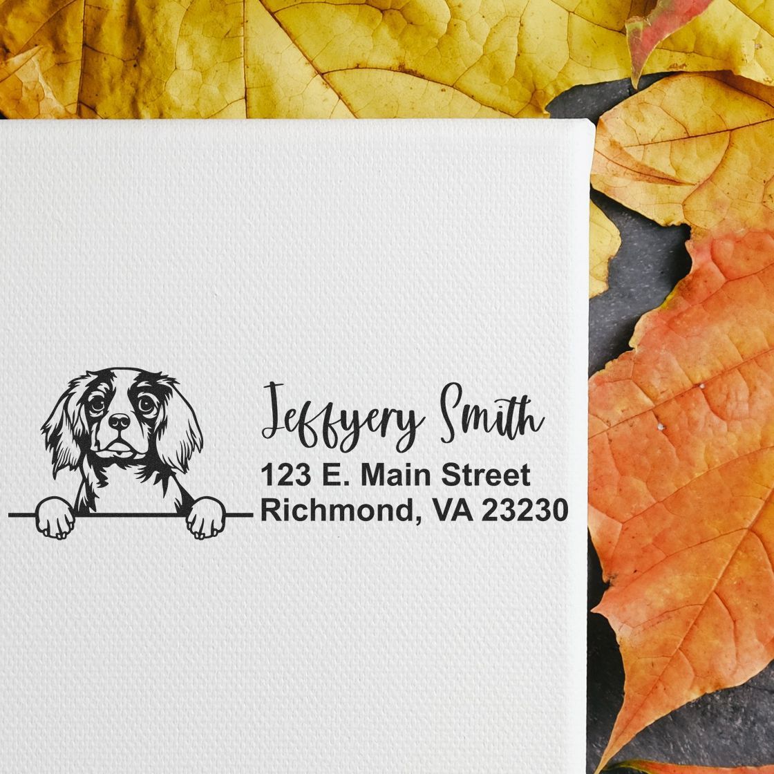 Personalized return address rubber stamp with dog illustration for Jeffrey Smith, Richmond, VA 23230.