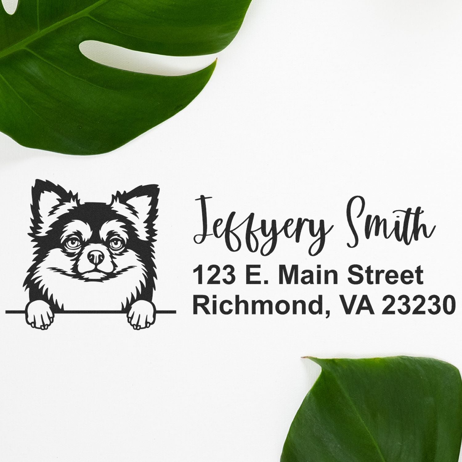 Custom dog return address rubber stamp with Jeffery Smith name and Richmond, VA 23230 address.