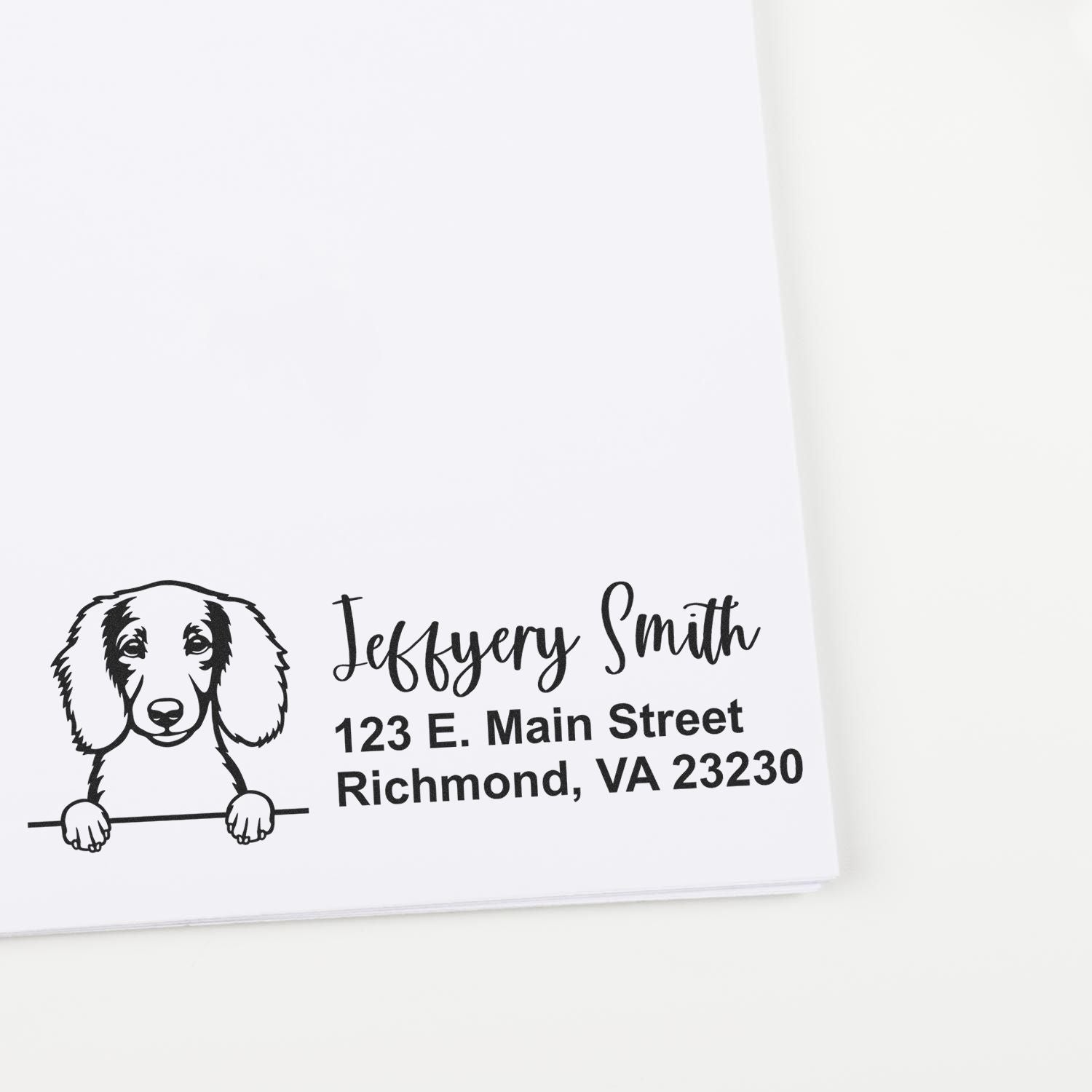 Personalized dog address rubber stamp with custom name and Richmond, VA return address.