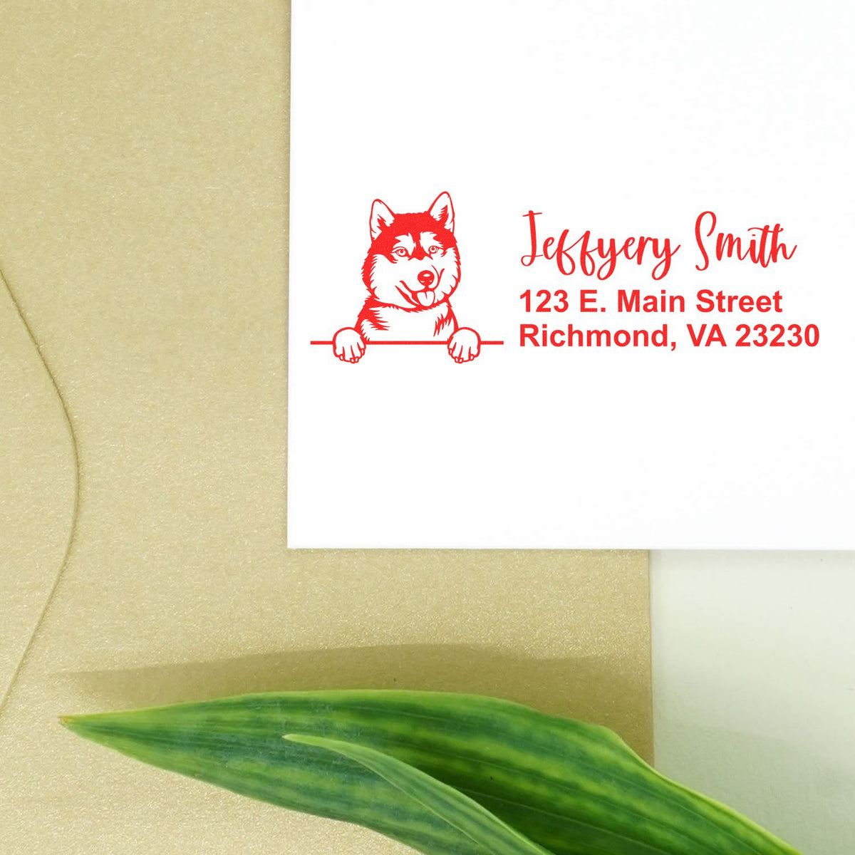 Custom dog return address rubber stamp with name and Richmond, VA address