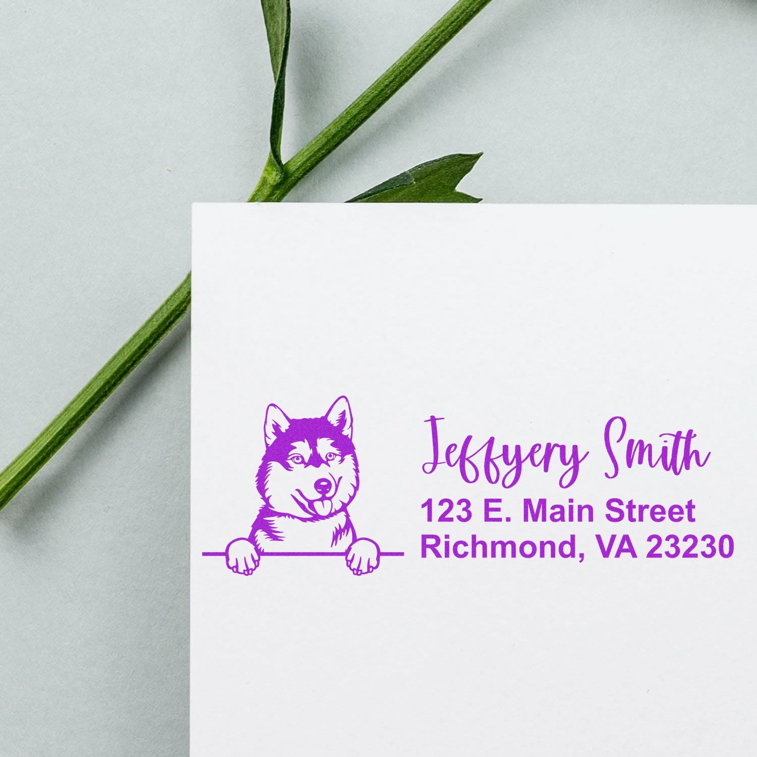 Personalized husky return address rubber stamp in purple on white paper with name, street address, and Richmond, VA.