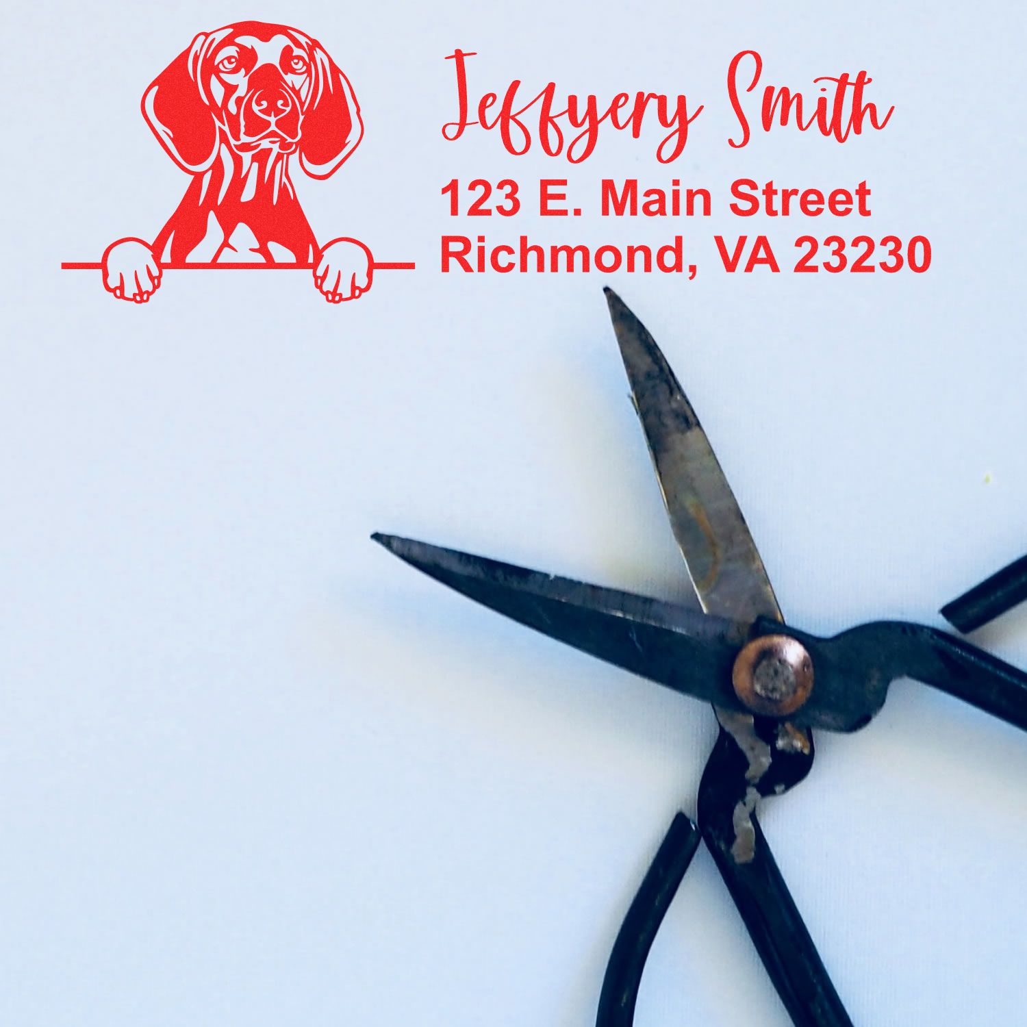 Custom dog address rubber stamp for Jeffrey Smith, 123 E. Main Street, Richmond, VA 23230, with red stamped impression.