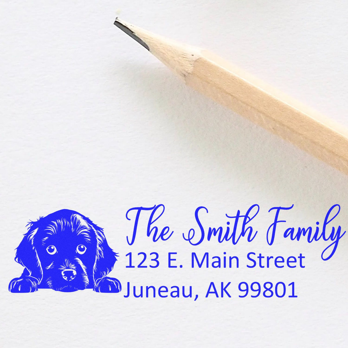Custom rubber stamp with dog logo and return address for The Smith Family, Juneau, AK 99801.