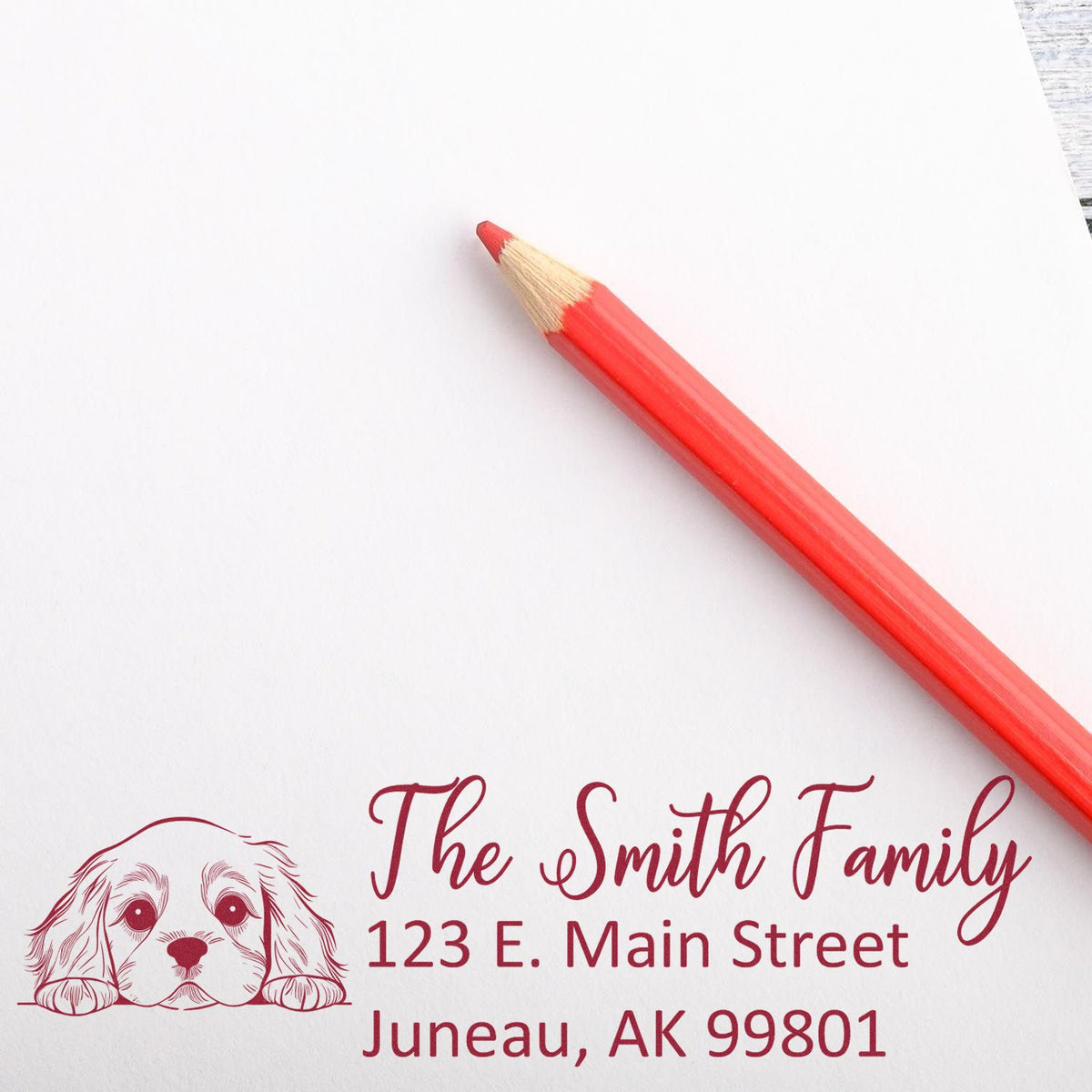 Custom dog return address rubber stamp with The Smith Family, 123 E. Main Street, Juneau, AK 99801, shown with a red pencil.