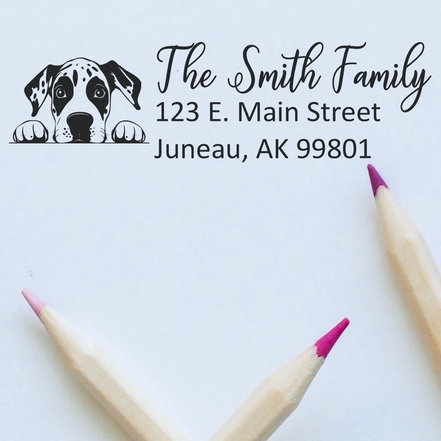 Custom dog return address rubber stamp with The Smith Family name and Juneau, AK address.