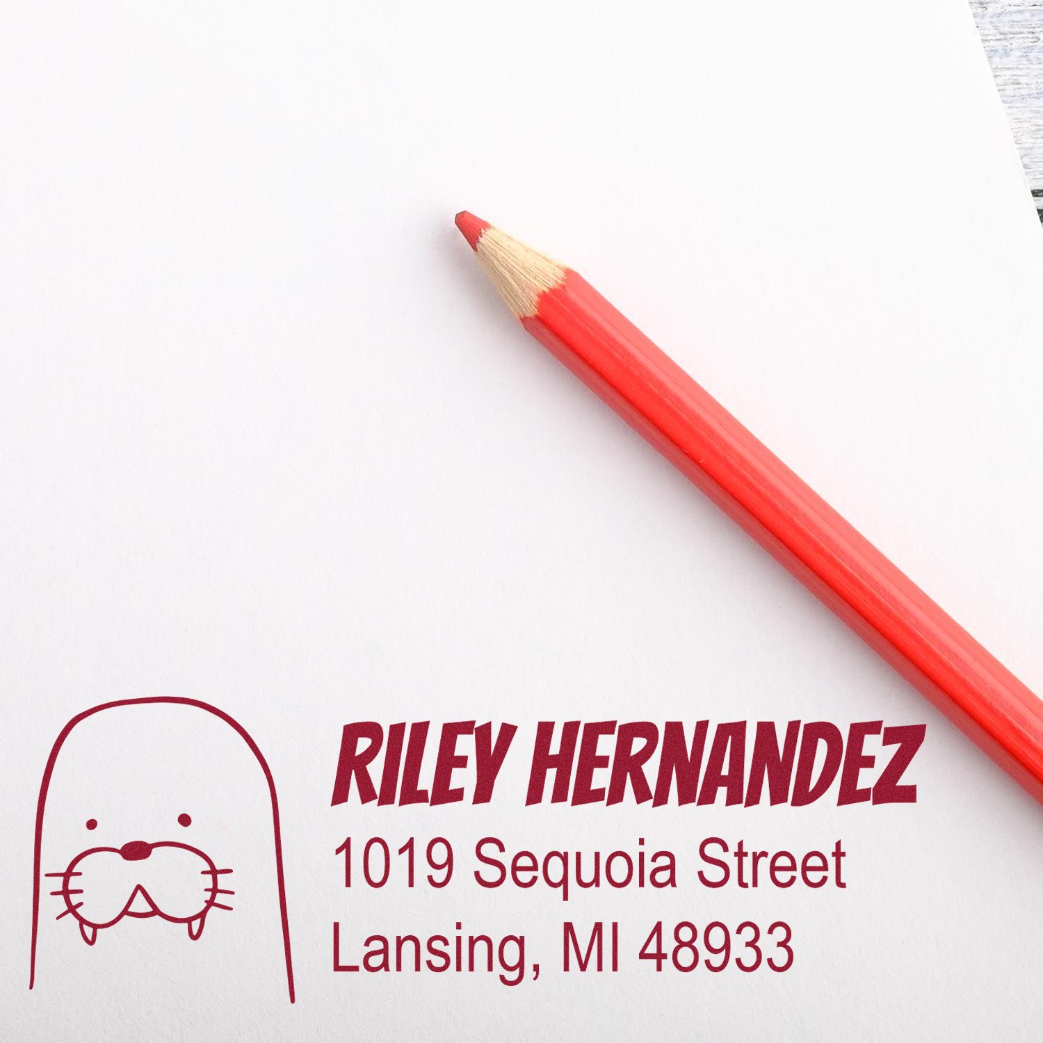 Custom dog return address rubber stamp for Riley Hernandez, 1019 Sequoia Street, Lansing, MI 48933.