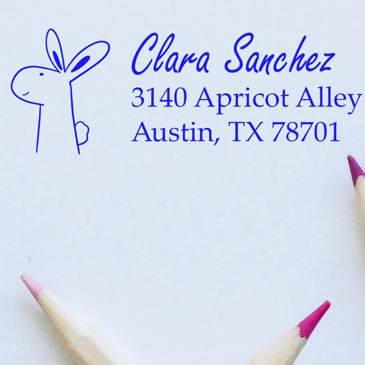 Custom return address rubber stamp with bunny design for Clara Sanchez, Austin, TX 78701.