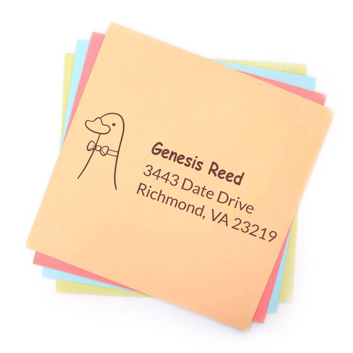 Custom rubber address stamp with duck illustration, name, and Richmond, VA address on colorful paper stack.