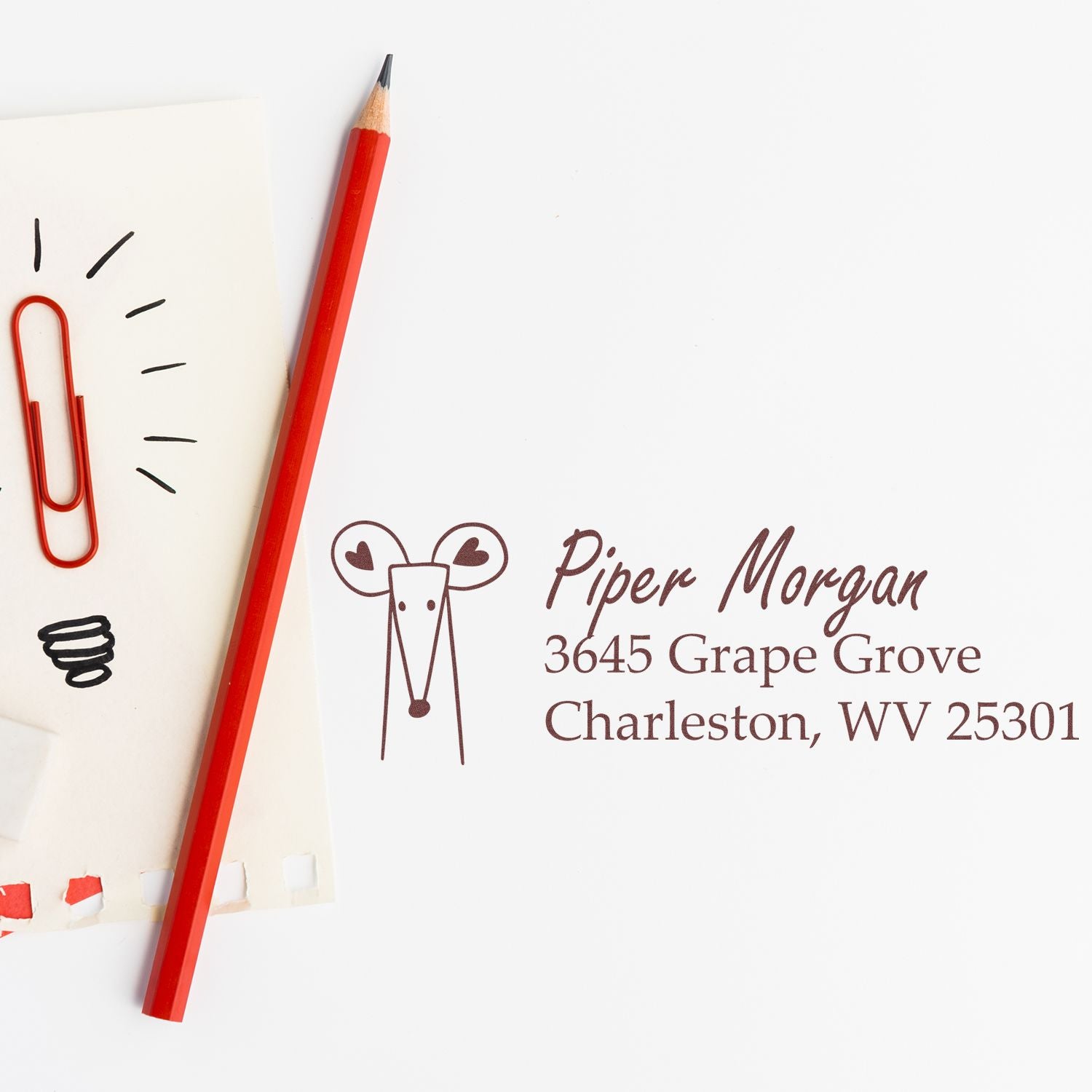 Custom return address rubber stamp with mouse icon for Piper Morgan, Charleston, WV 25301.