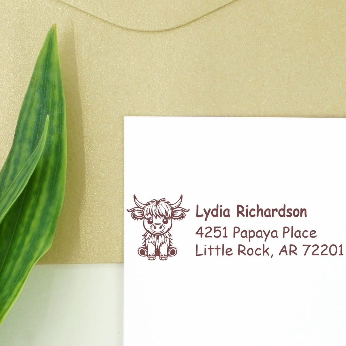 Custom cow return address rubber stamp on envelope with name and Little Rock, AR address