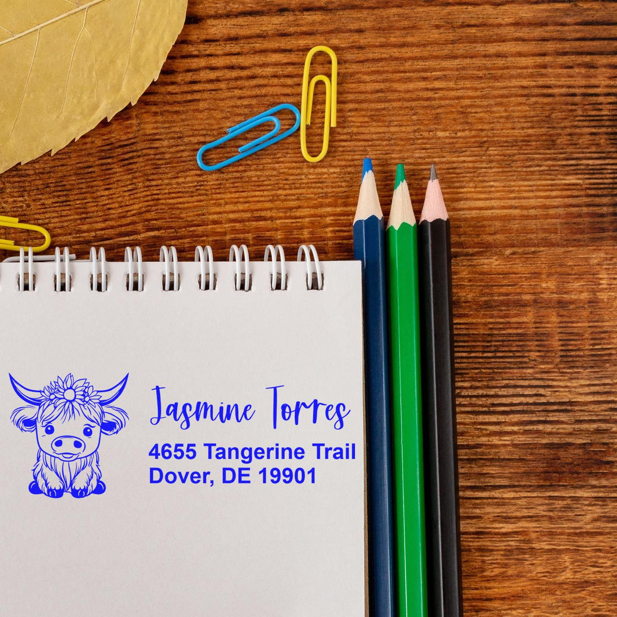 Custom address rubber stamp with cute cow design on notebook, featuring Jasmine Torres name and Dover, DE return address.