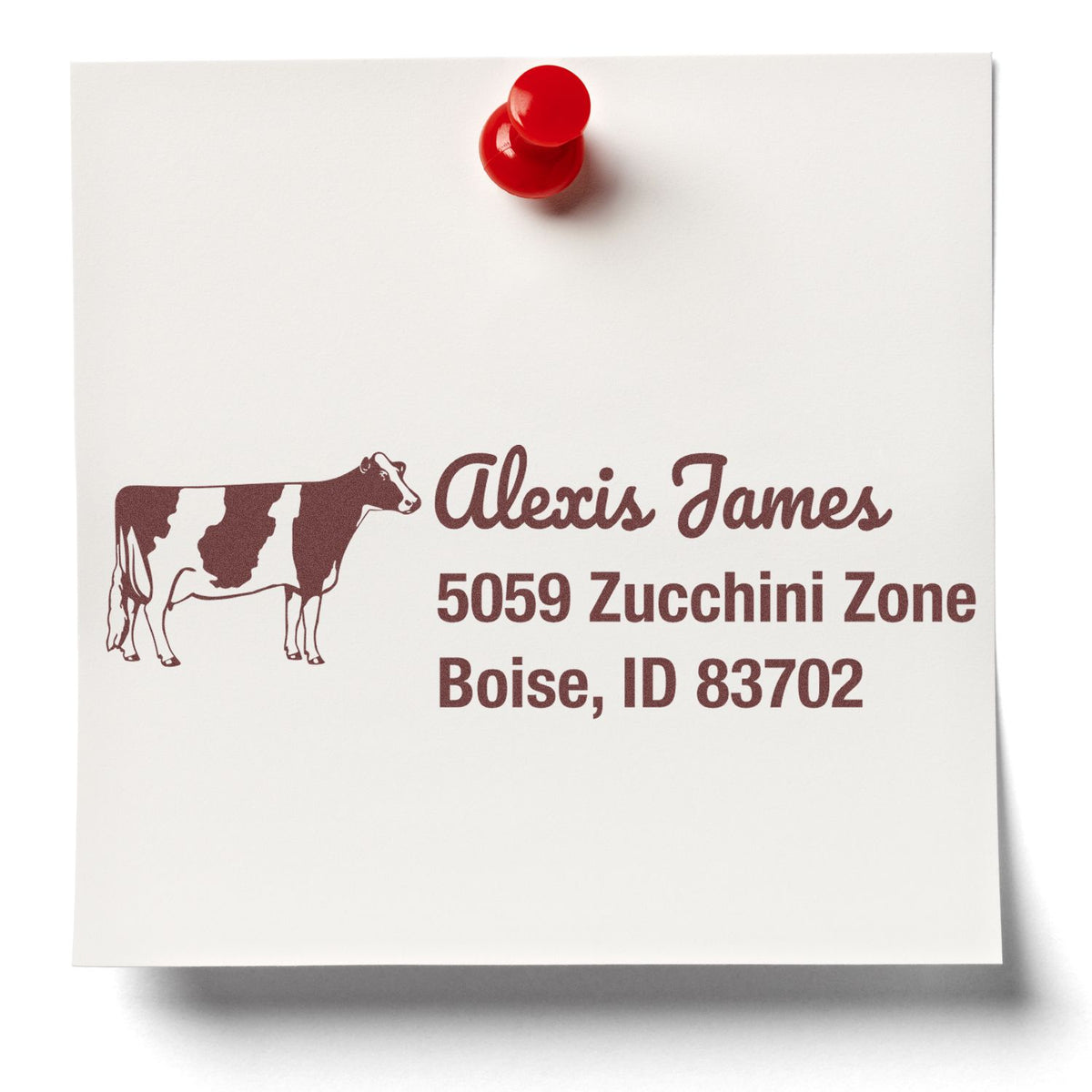 Custom return address rubber stamp with cow logo for Alexis James, Boise, ID 83702.