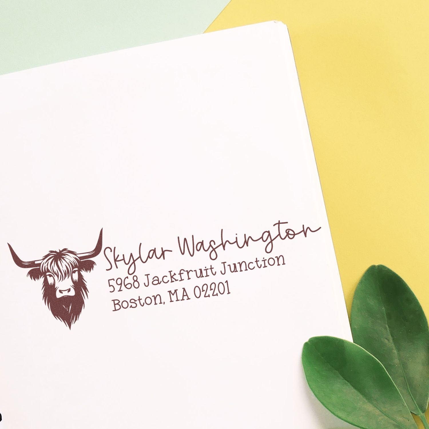Custom return address rubber stamp with longhorn logo, name, and address for personalized mailing
