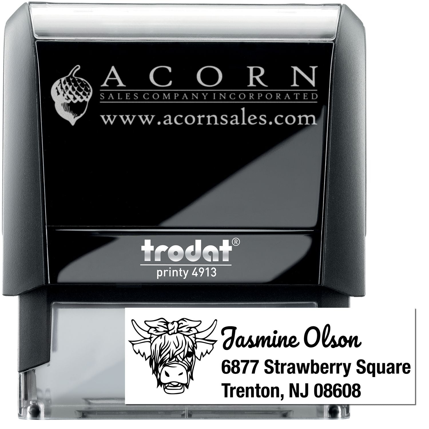 Custom self-inking rubber stamp with logo and address, Trodat Printy 4913 for business branding.