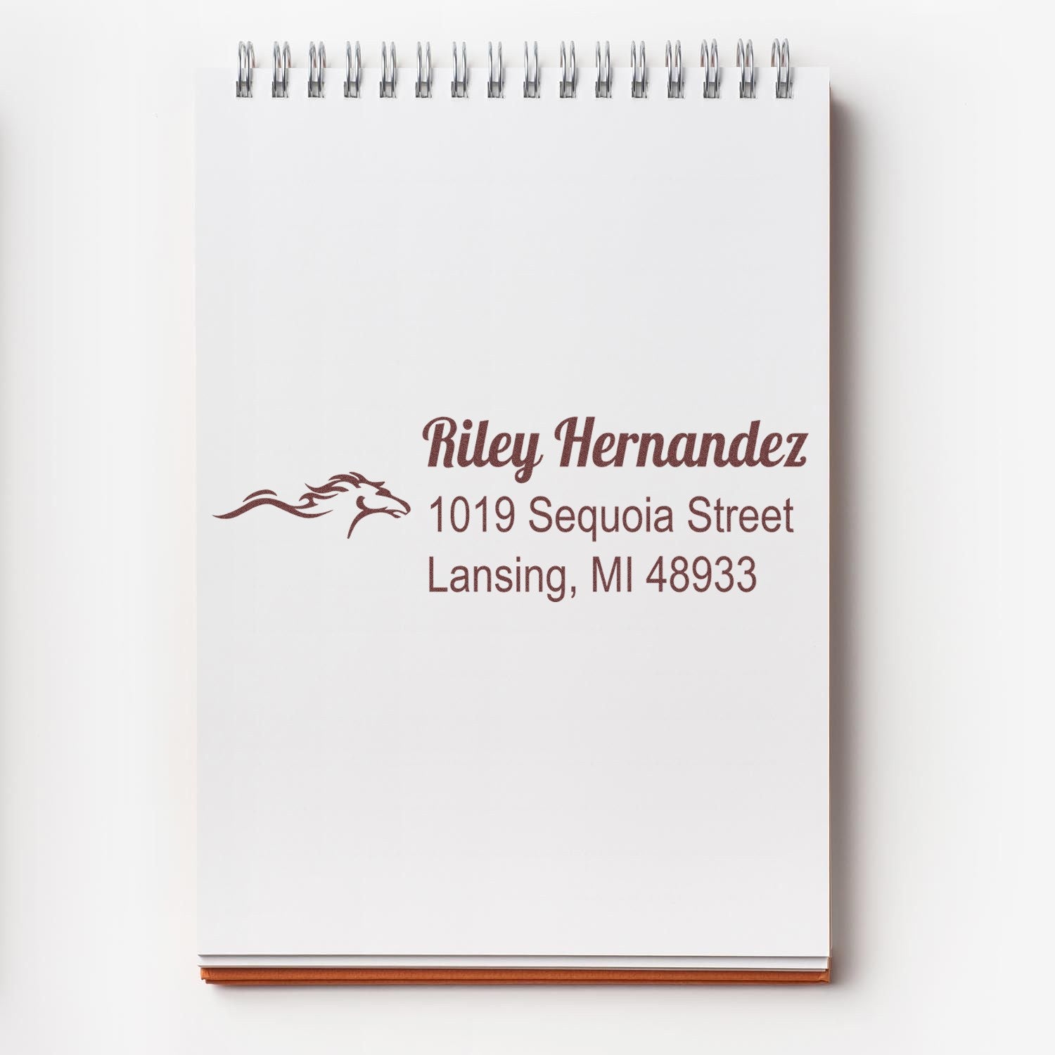 Custom rubber address stamp imprint with Riley Hernandez, horse logo, and Lansing, MI address.