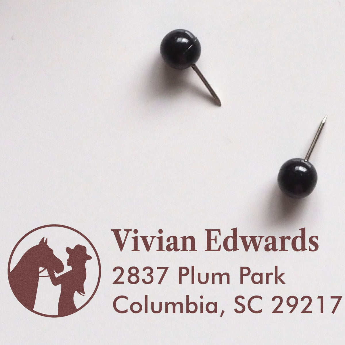 Custom rubber stamp preview with horse-and-rider logo, Vivian Edwards name, and Columbia, SC address for branding.