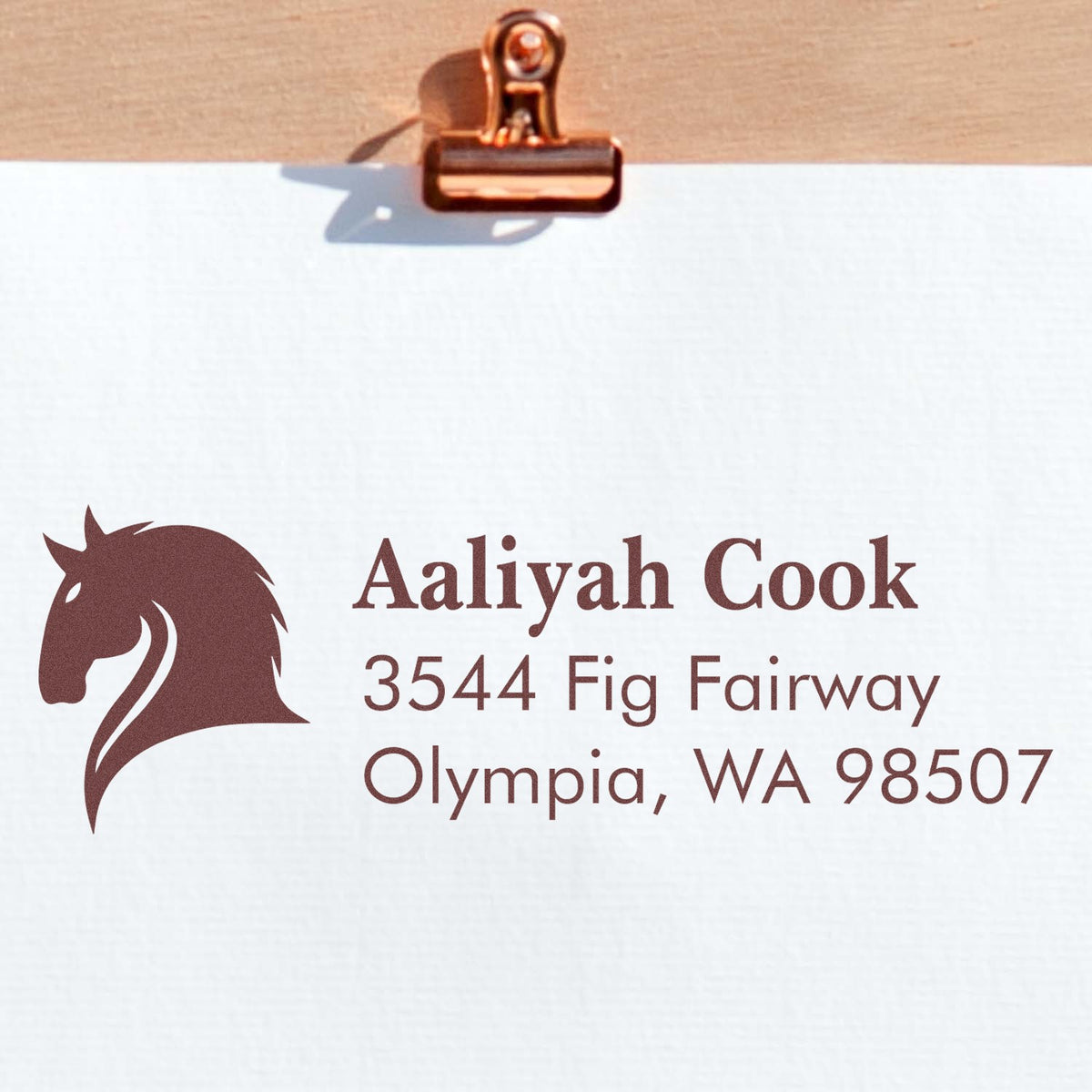Custom horse logo return address rubber stamp for Aaliyah Cook, Olympia, WA 98507
