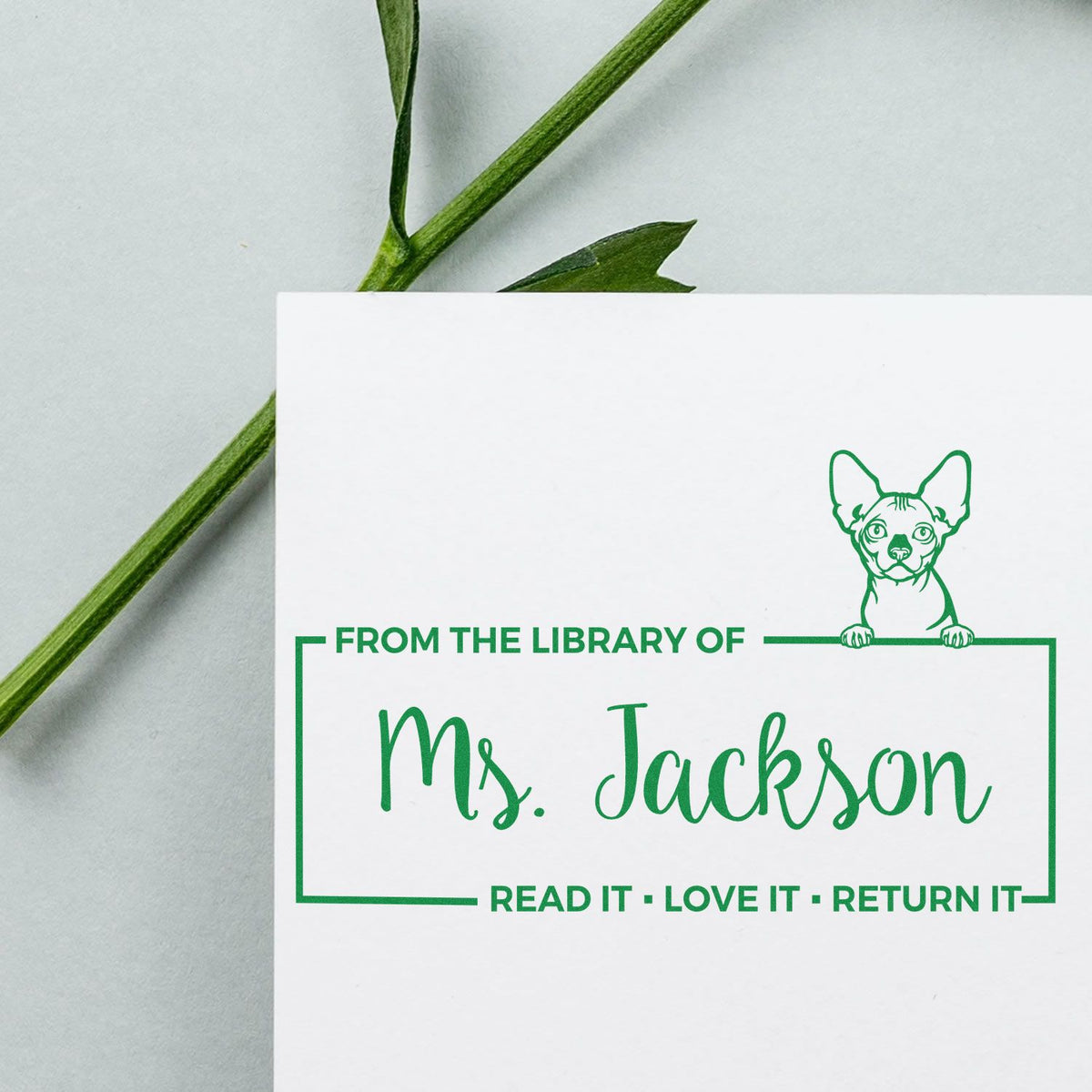Personalized library rubber stamp for Ms. Jackson with dog design and Read It, Love It, Return It bookplate text.