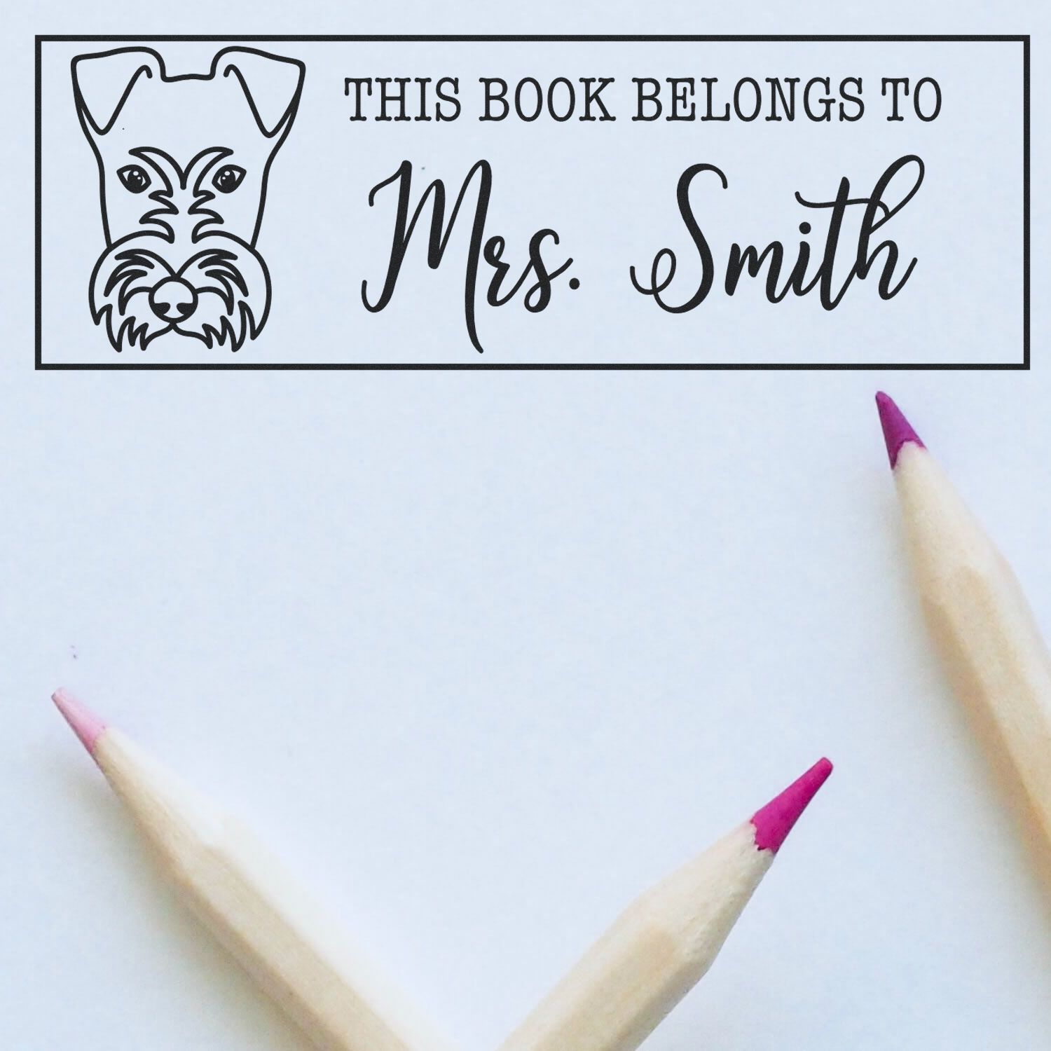 Custom dog book rubber stamp reading This book belongs to Mrs. Smith for personalized library labels.