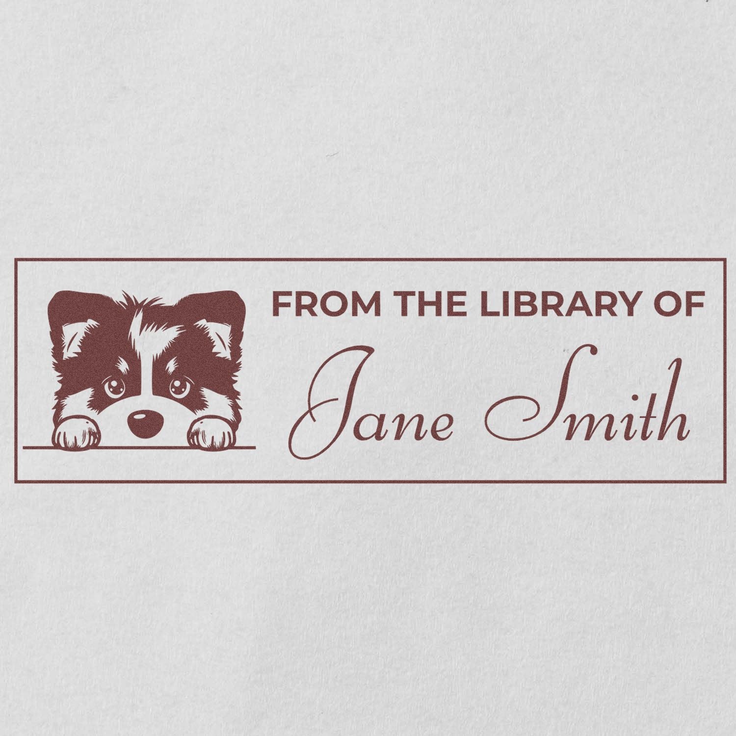 Custom library rubber stamp with raccoon design and From the Library of Jane Smith personalized book ownership text.