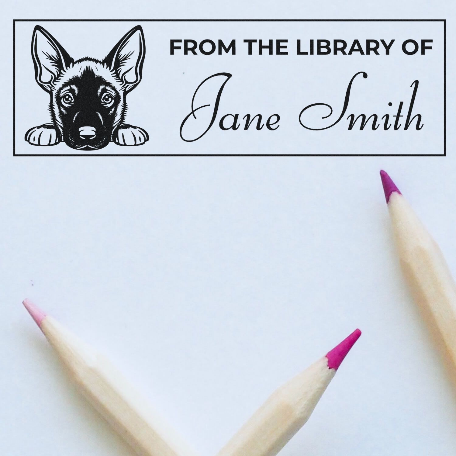Personalized dog library rubber stamp reading From the Library of Jane Smith for custom bookplates and book labeling.