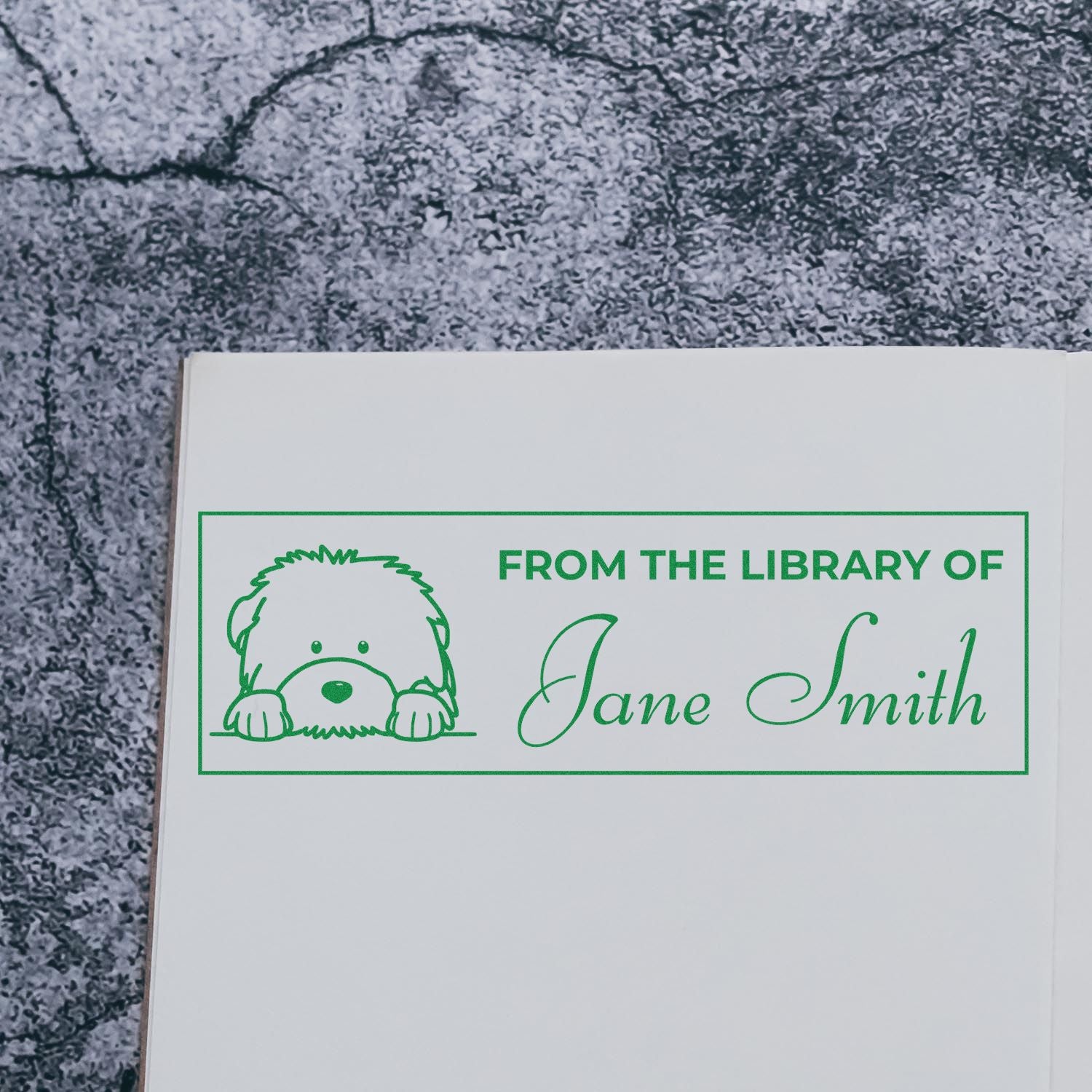 Personalized rubber stamp bookplate with dog illustration reading From the Library of Jane Smith for custom books.